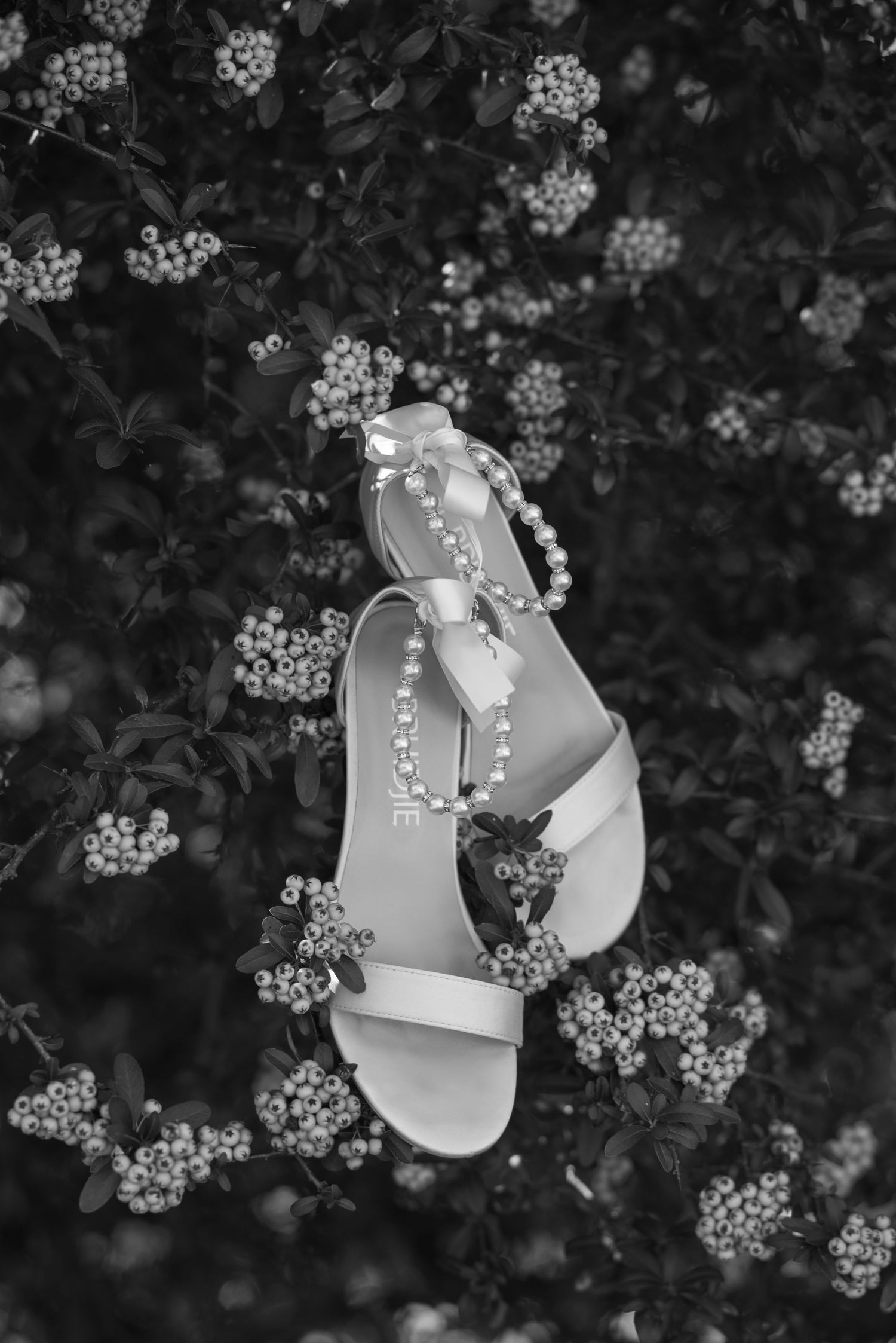 Mc Carthy & Co - Wedding