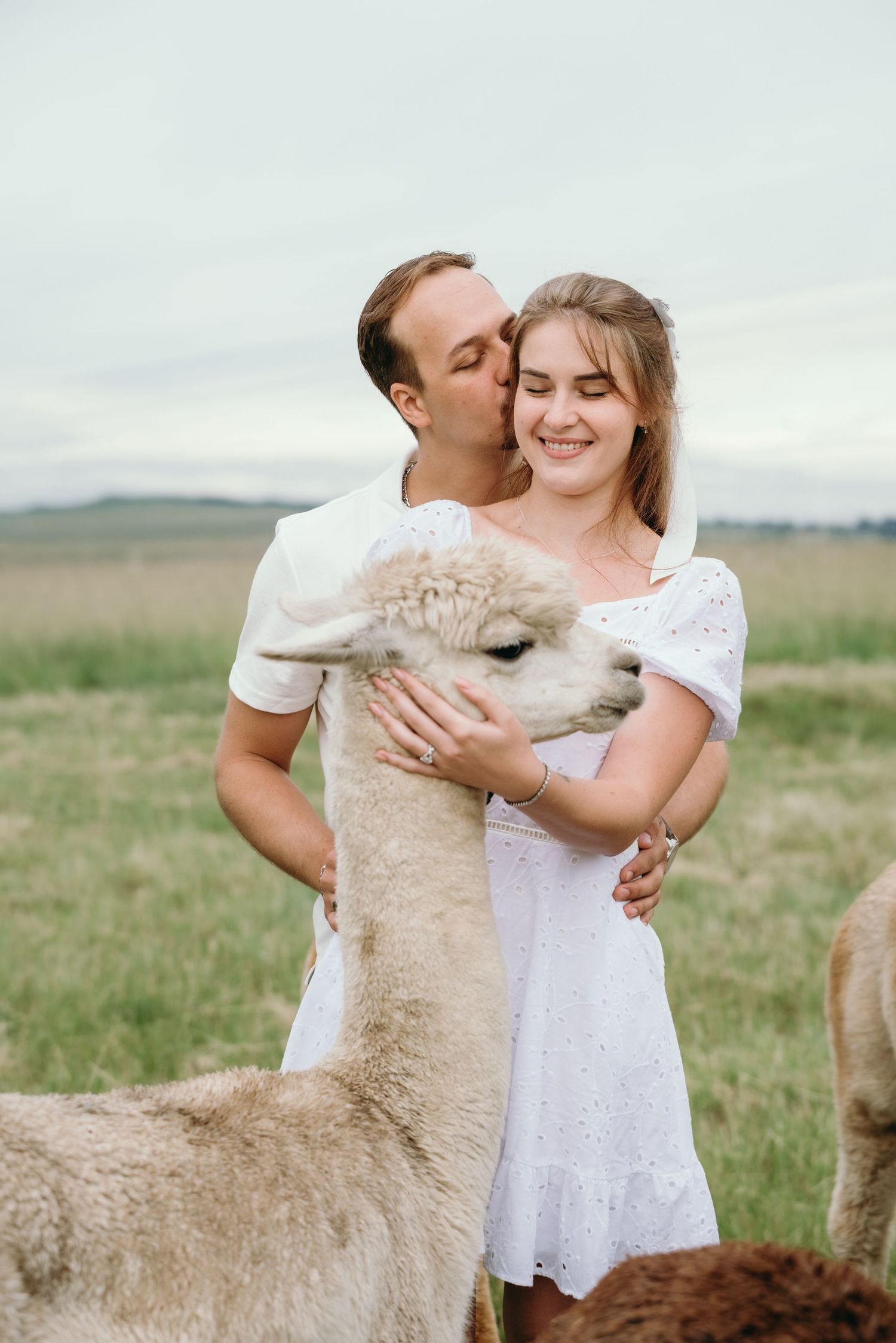 Mc Carthy & Co - Engagement