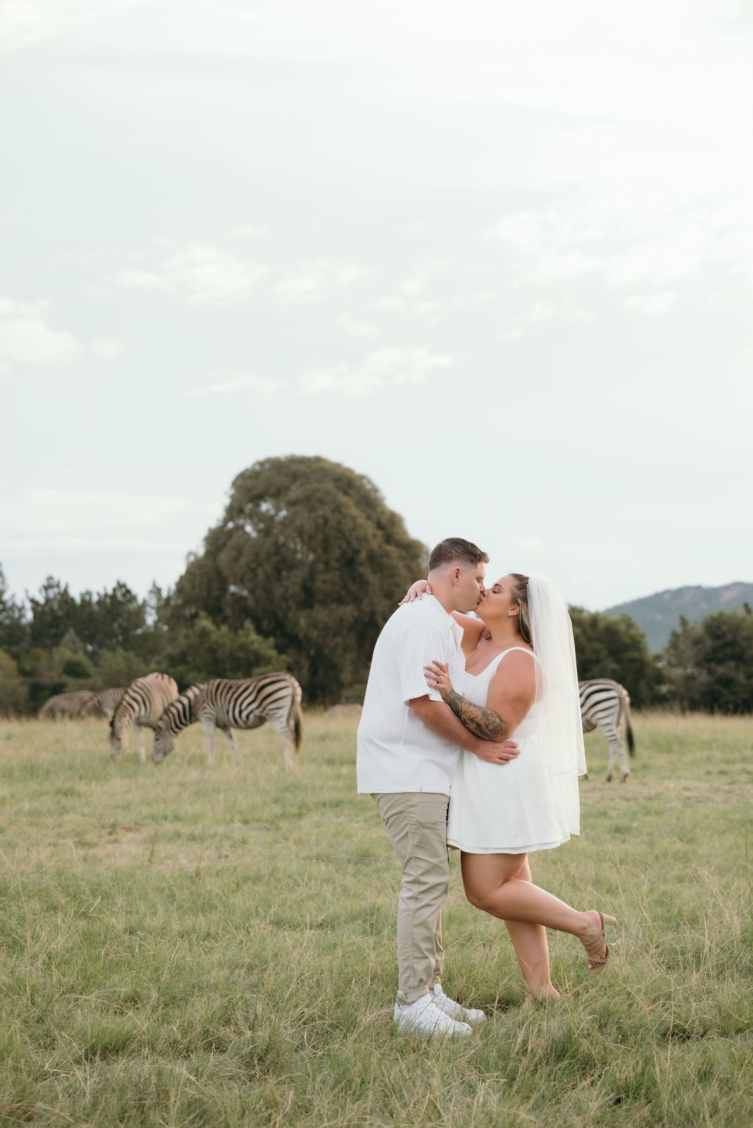 Mc Carthy & Co - Engagement