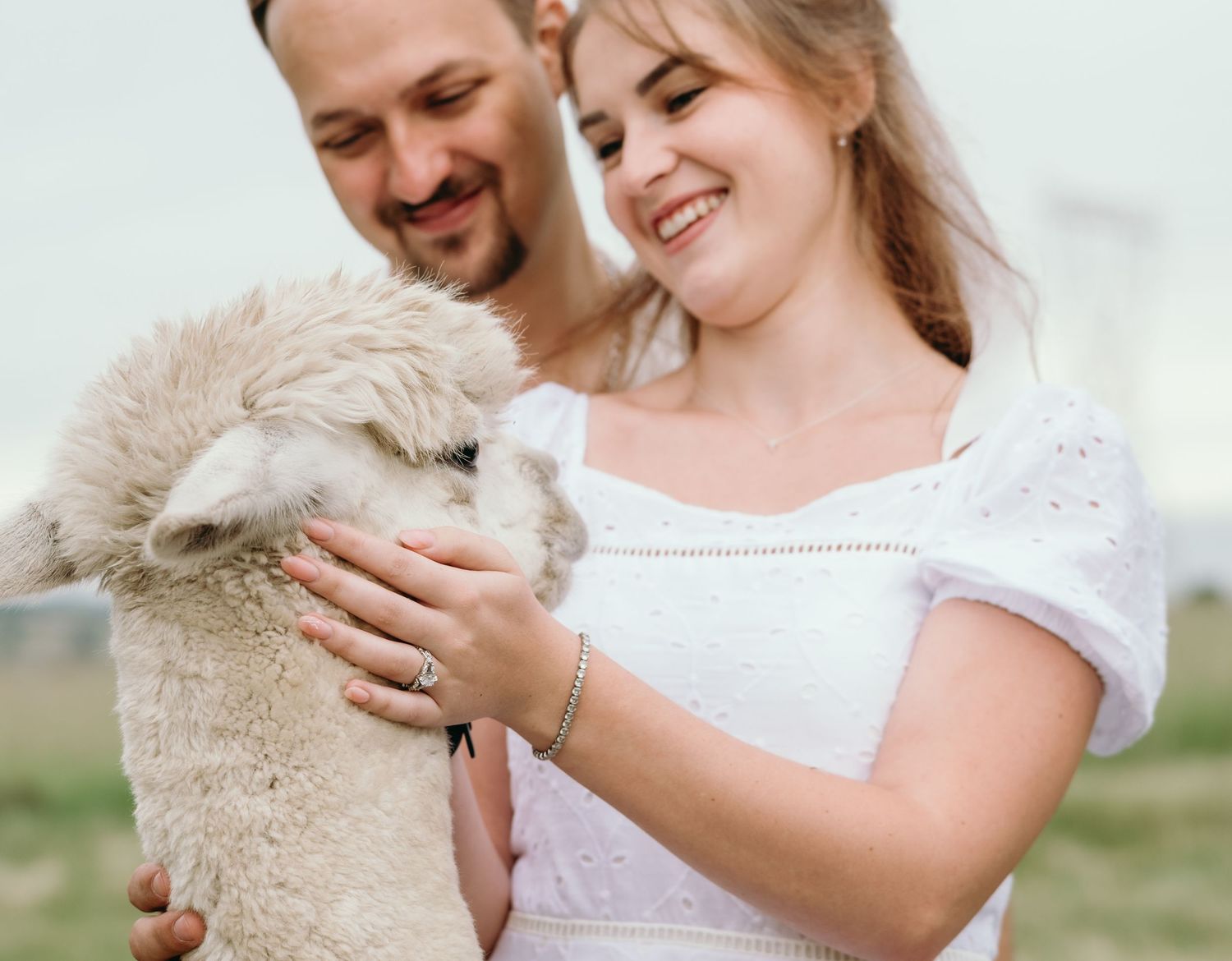 Mc Carthy & Co - Engagement
