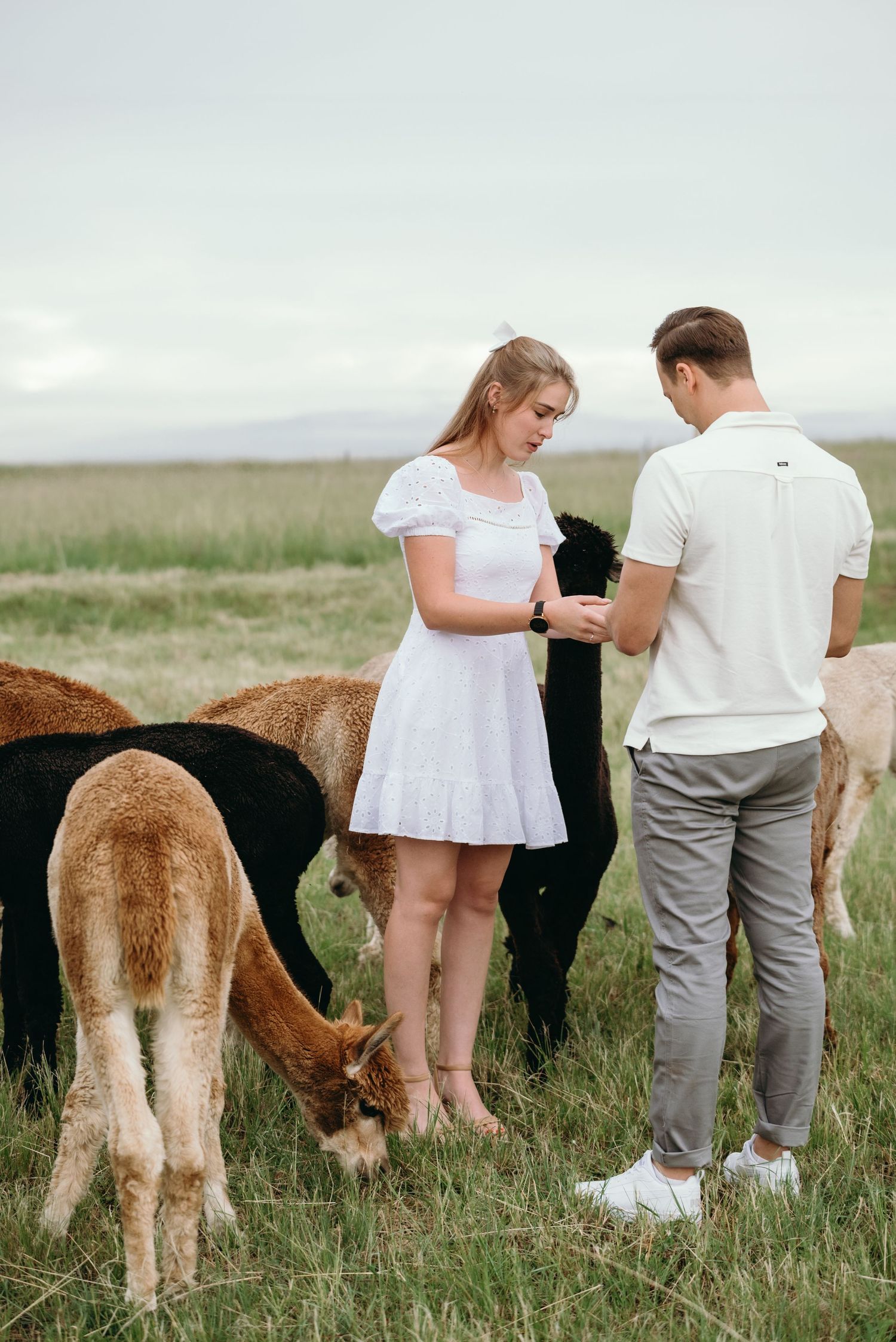 Mc Carthy & Co - Engagement