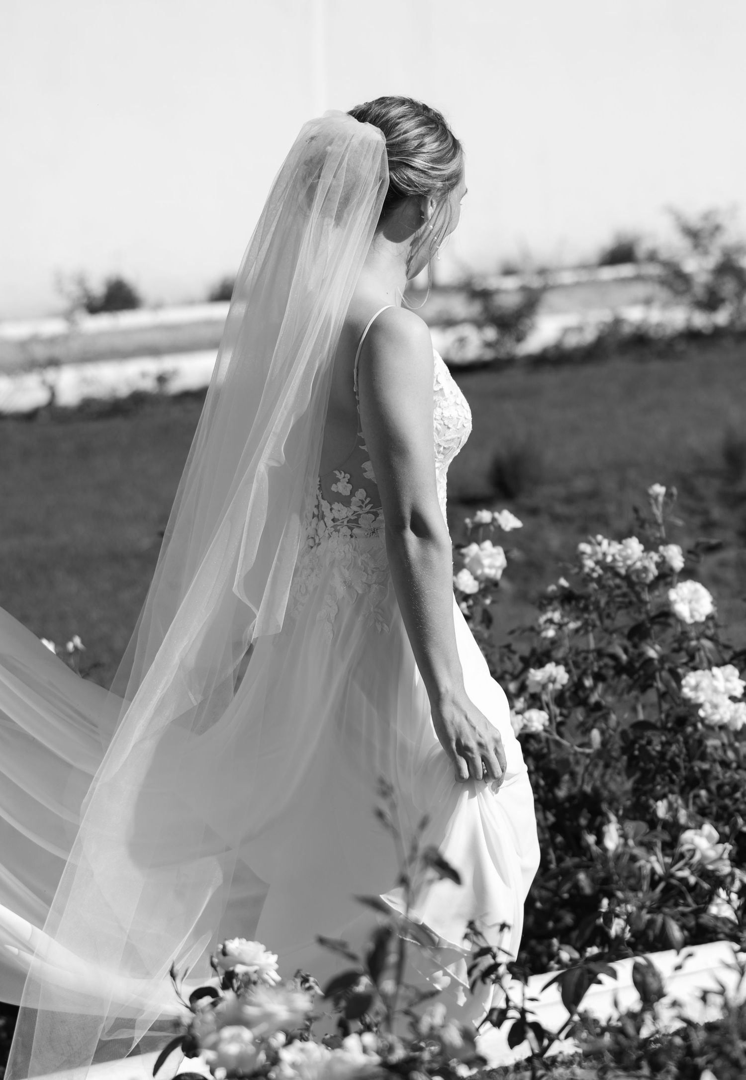 Mc Carthy & Co - Wedding