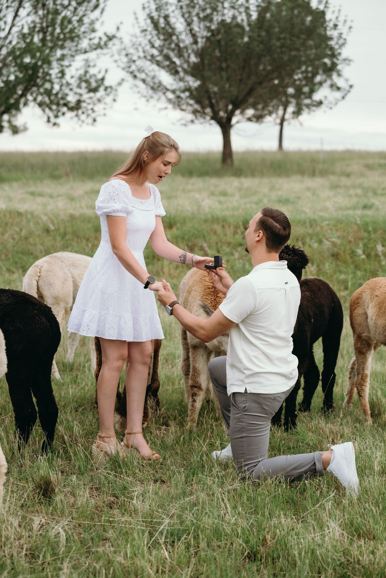 Mc Carthy & Co - Engagement