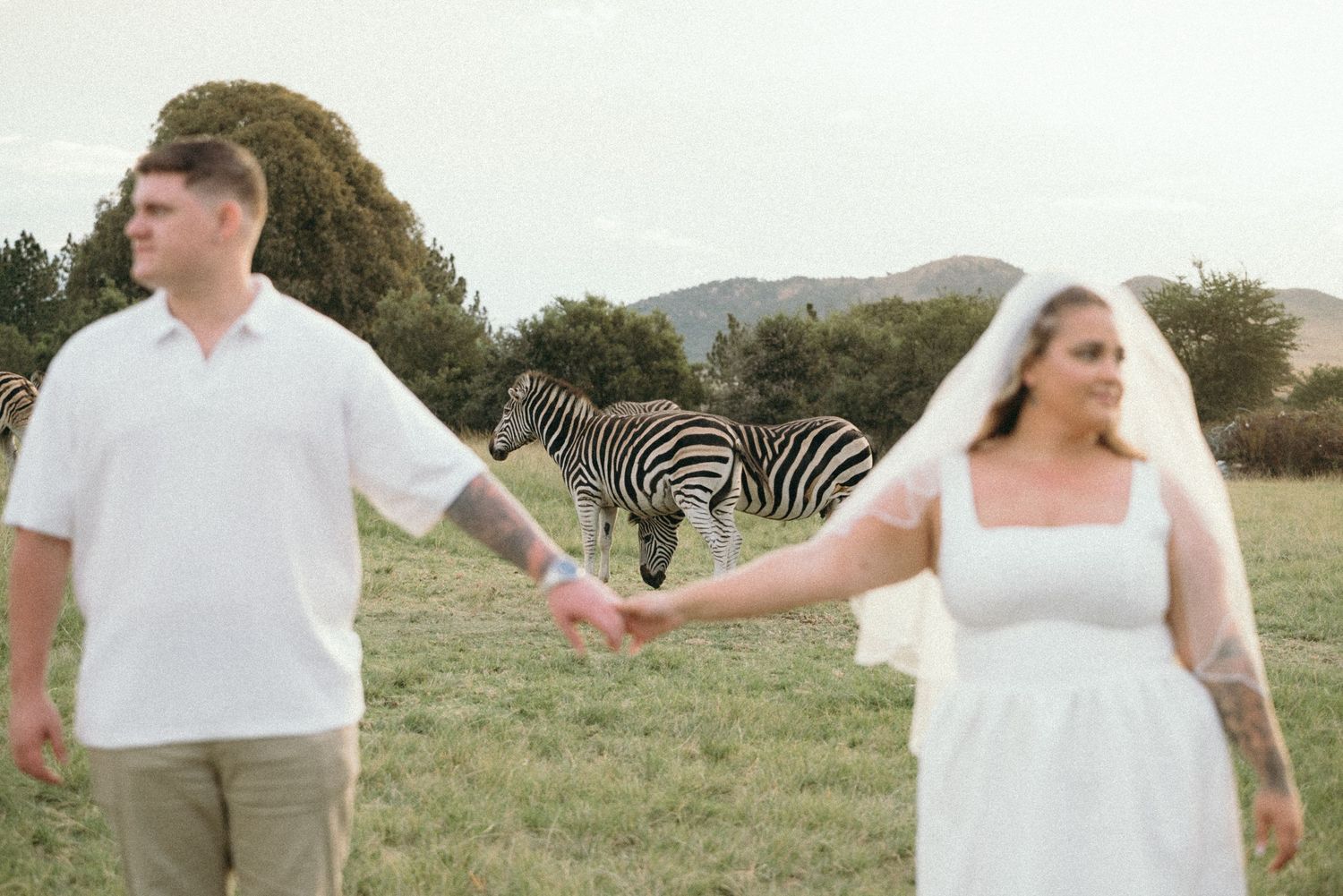Mc Carthy & Co - Engagement