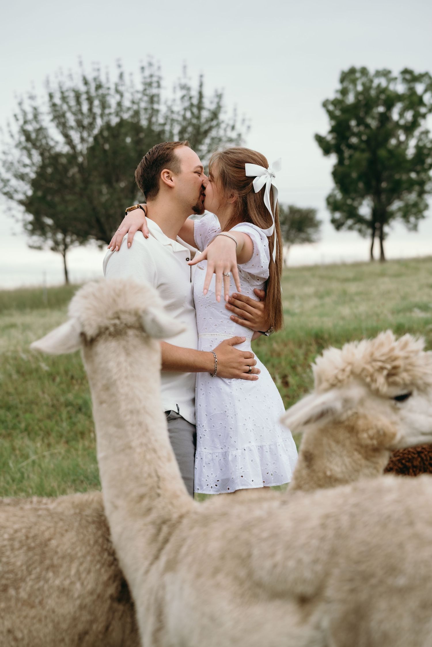 Mc Carthy & Co - Engagement