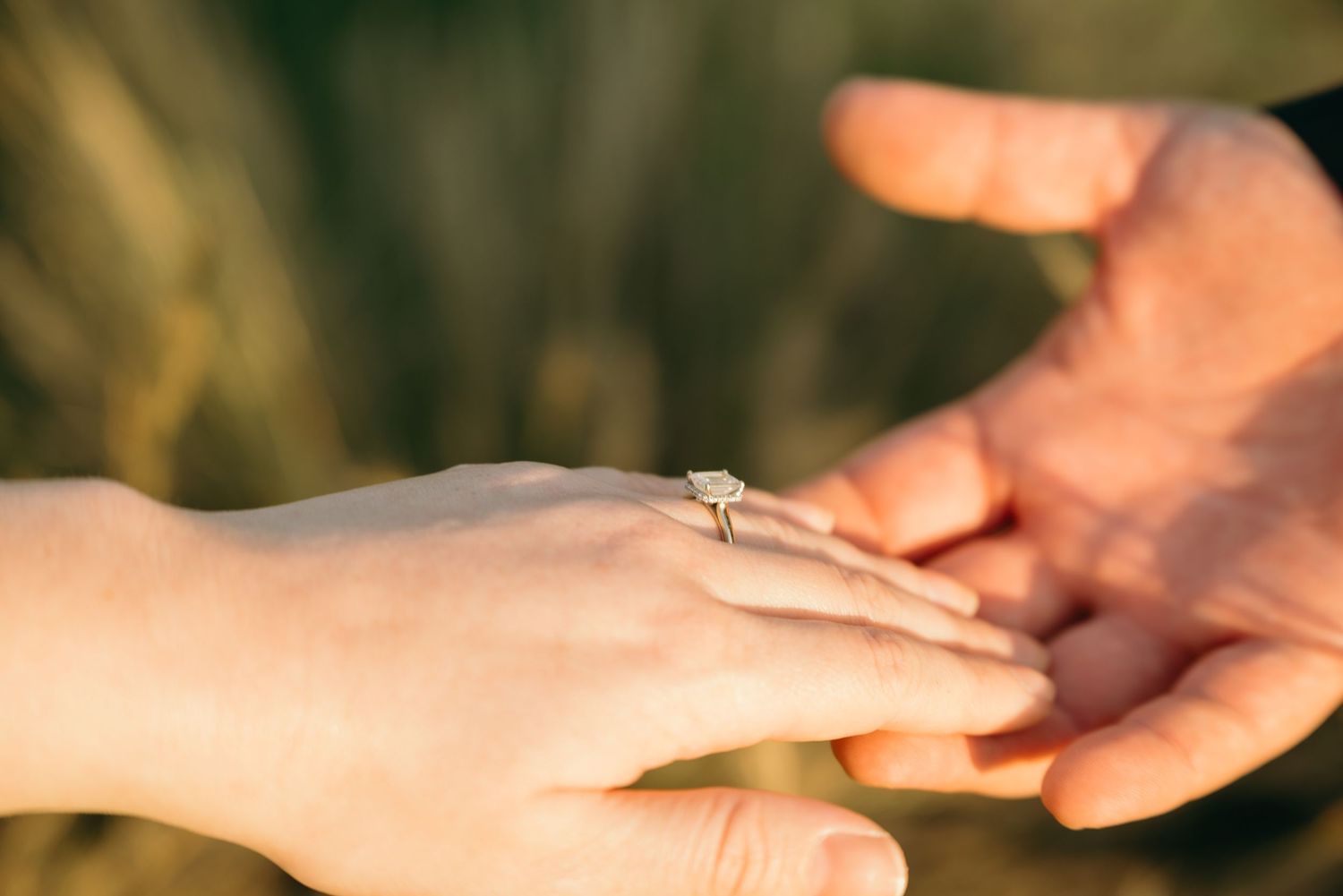 Mc Carthy & Co - Engagement