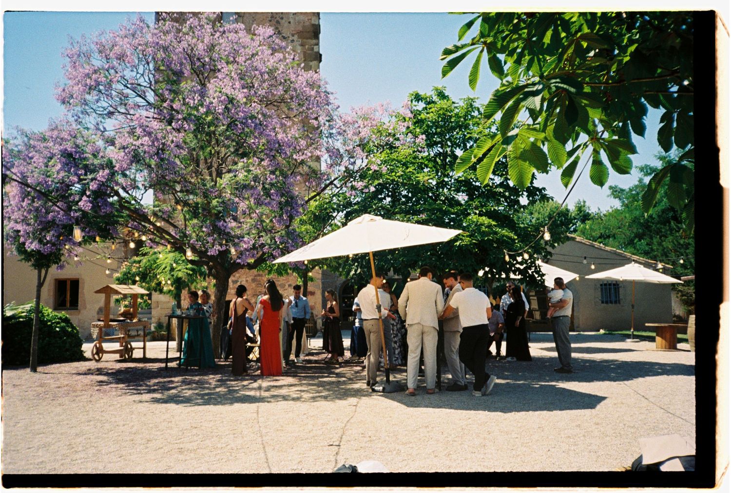 Wedding guests gathered outdoors beneath flowering trees during an intimate summer wedding in Barcelona, Spain.