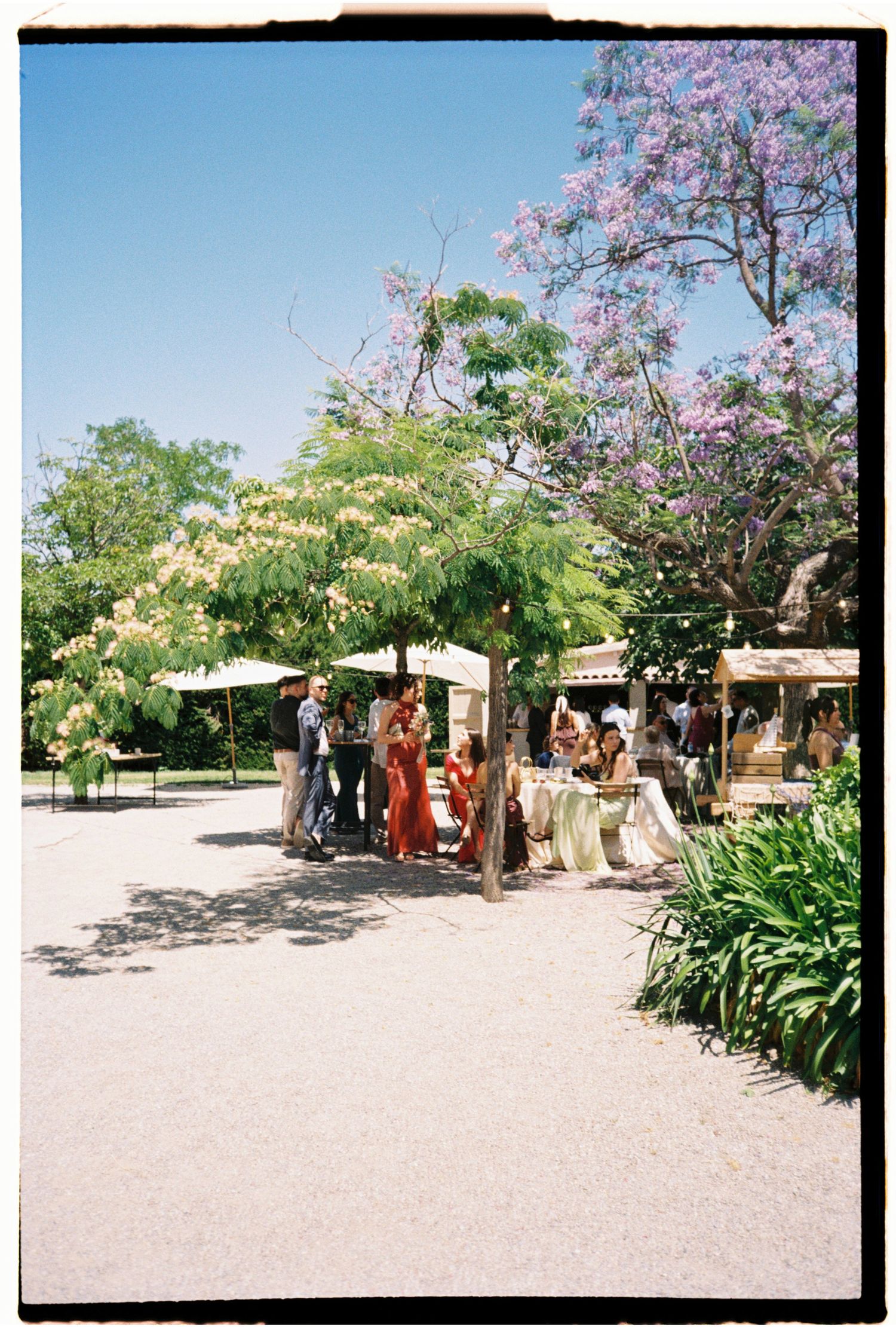 Wedding guests gathering beneath flowering trees for an outdoor summer celebration in Barcelona, Spain.