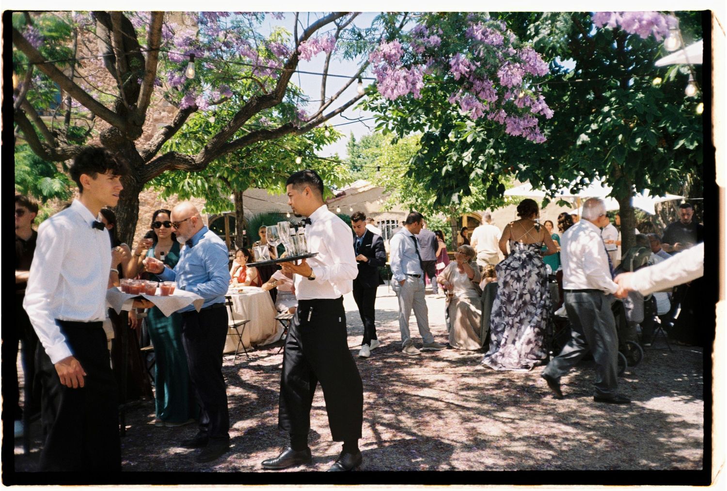 Candid film photograph of wedding guests mingling beneath flowering trees during a Barcelona celebration.