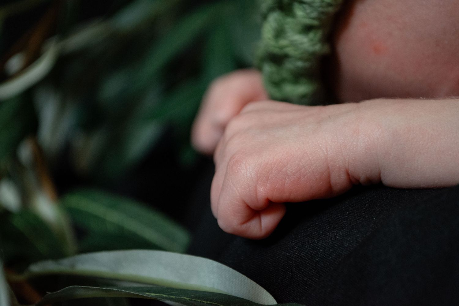 Close-up of a newborn baby's tiny clenched fist resting on a dark fabric surface surrounded by green leaves.