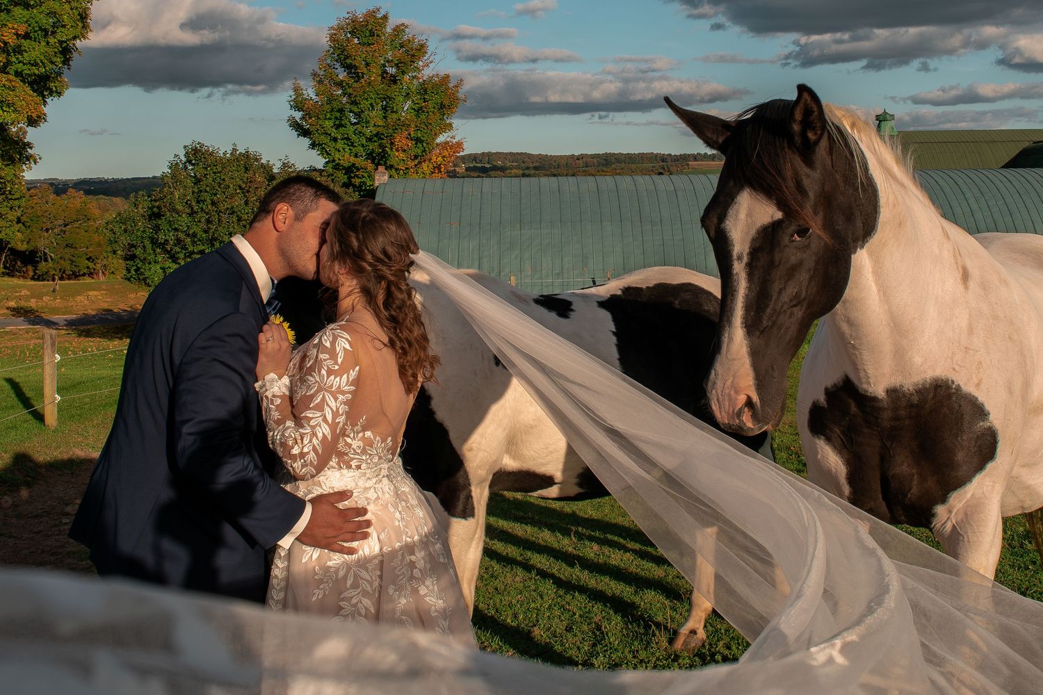 Bride and groom share a kiss near painted horses on a farm, with a flowing veil and scenic countryside backdrop.