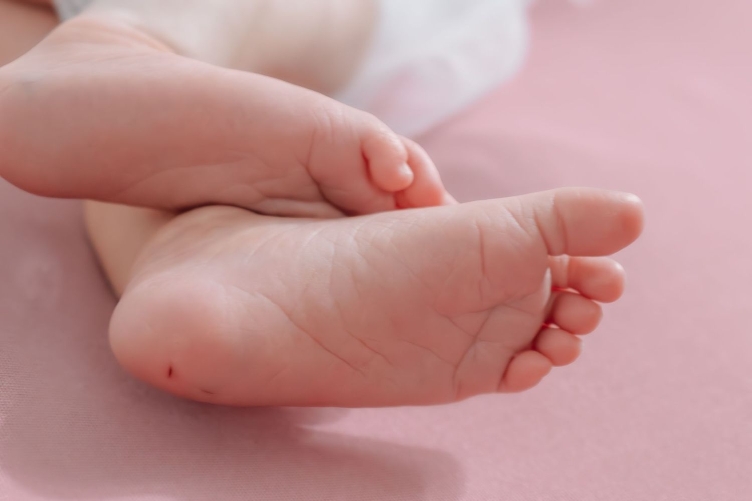 Close-up of soft, tiny newborn baby feet resting on a pink blanket.