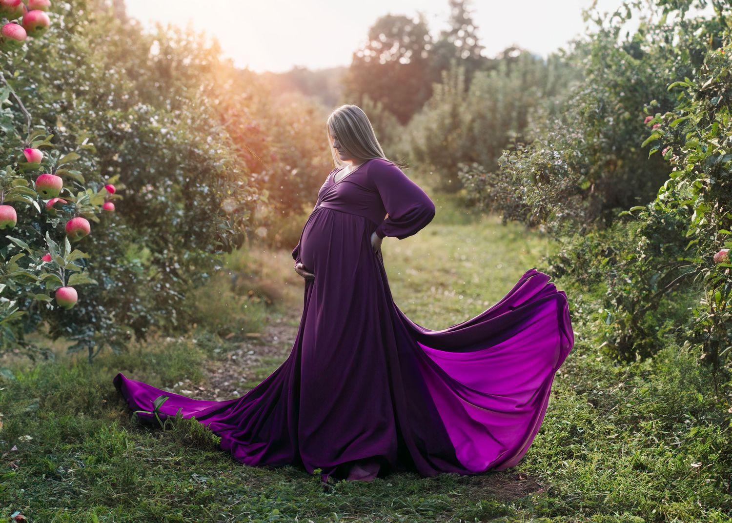 Pregnant woman in flowing purple gown posing in apple orchard during golden hour sunset.