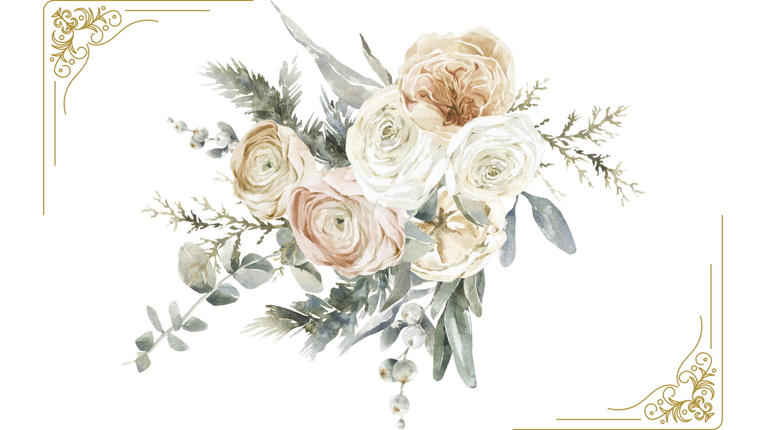 Soft watercolor bouquet featuring cream roses, white ranunculus, and green eucalyptus leaves on white background.