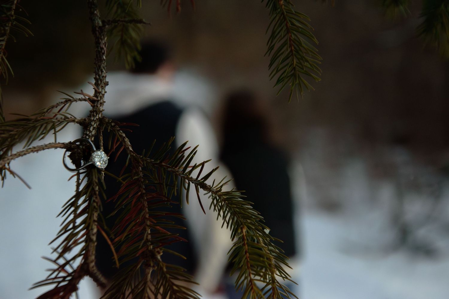 Diamond engagement ring hanging on a pine branch with a blurred couple embracing in snowy woods.