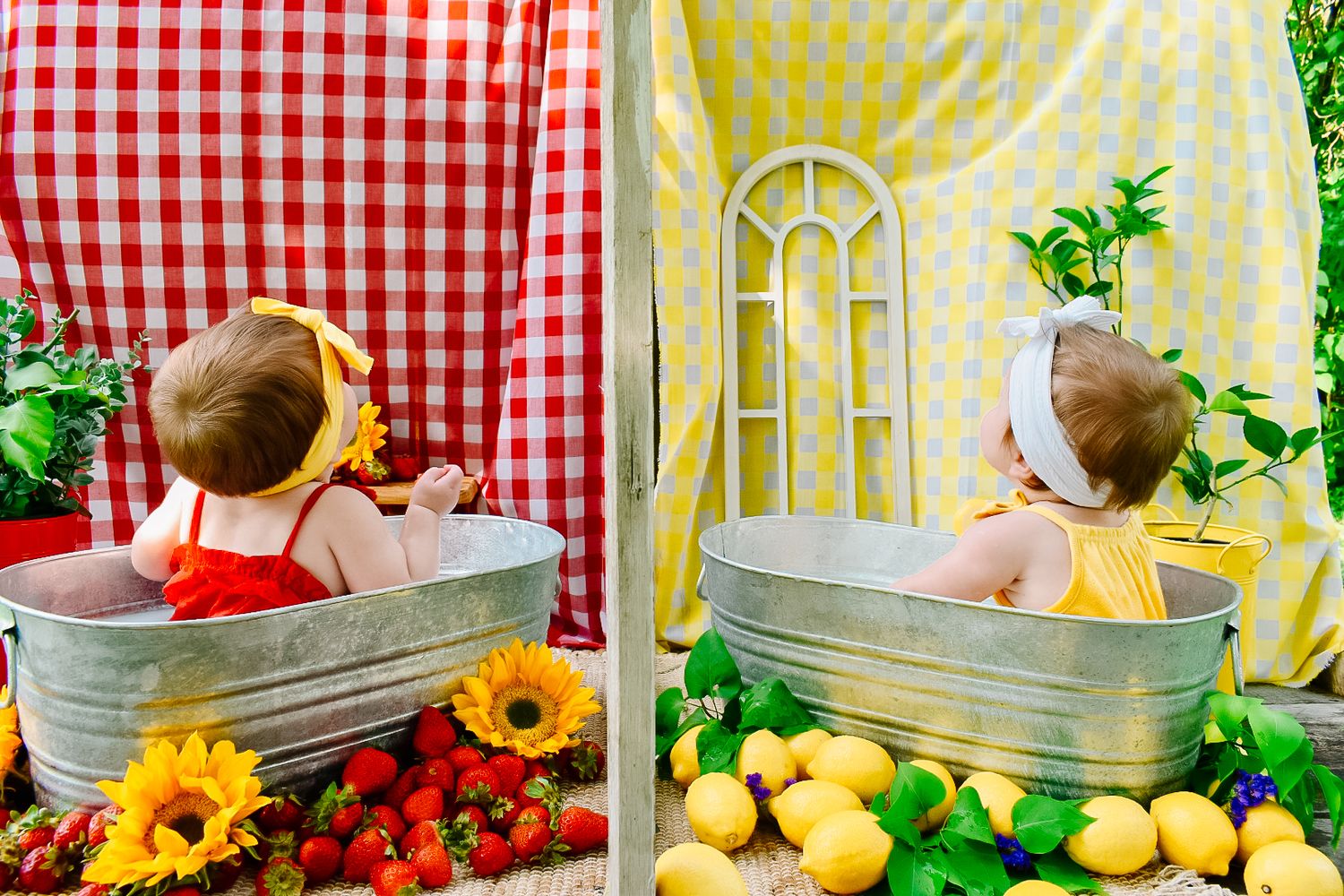 Baby in red swimsuit sits in galvanized tub with strawberries and sunflowers beside red gingham backdrop.