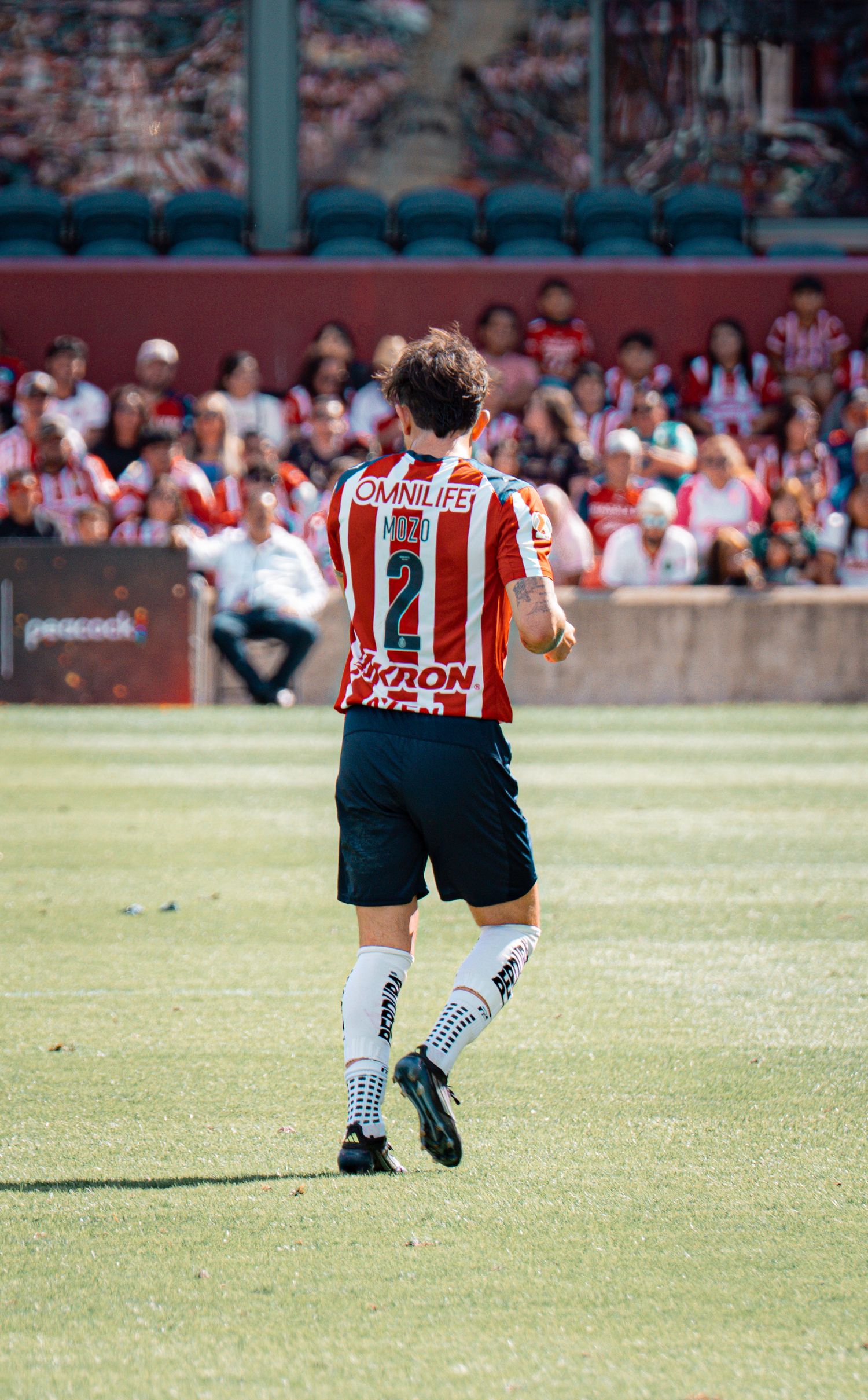 Soccer player in striped jersey seen from behind on field with crowd in background.