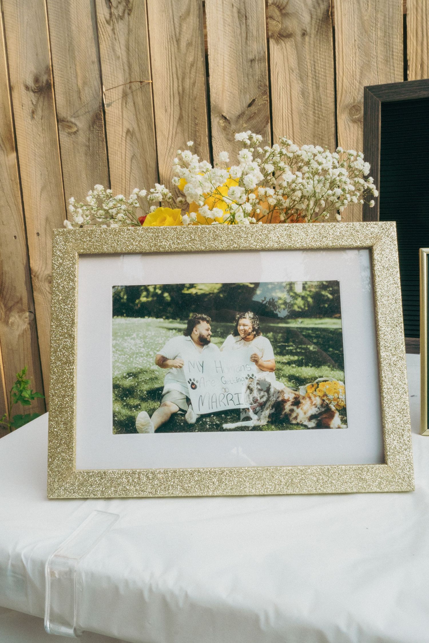 Framed photographs displayed on a white tablecloth against a wooden fence backdrop.
