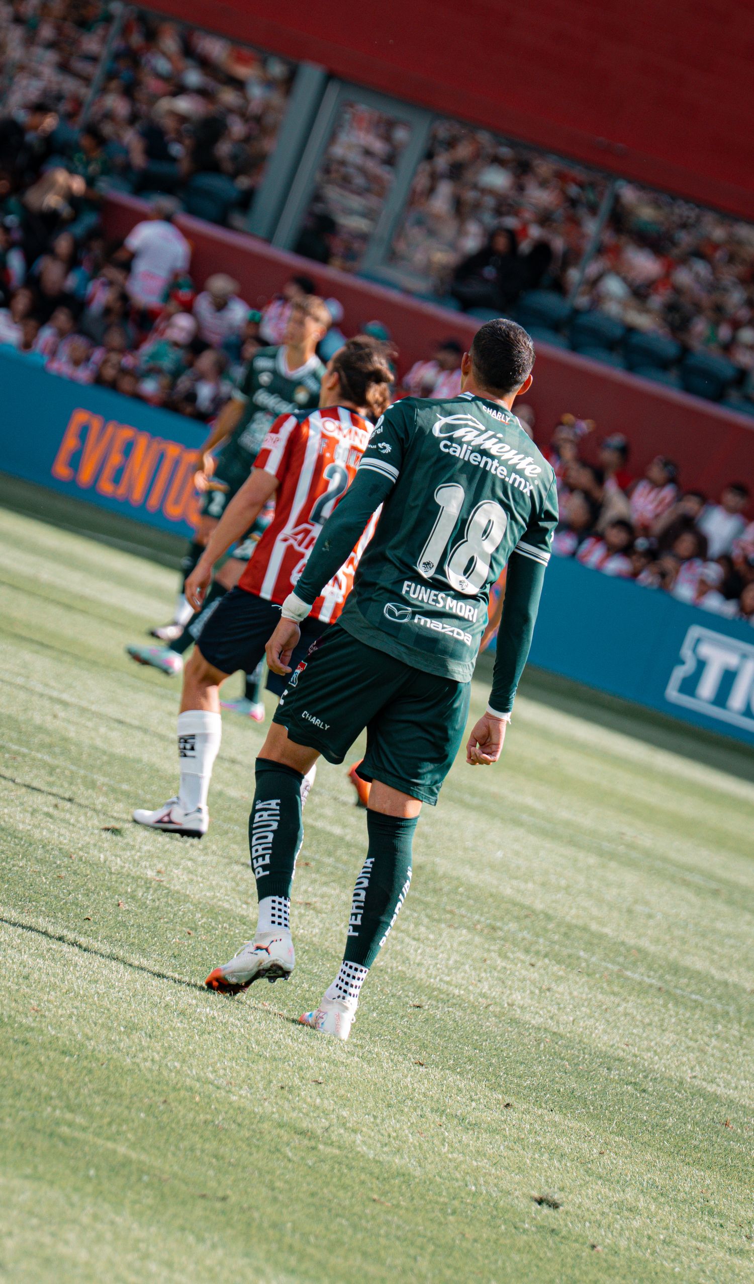 Soccer players in green and striped jerseys spread across the playing field.
