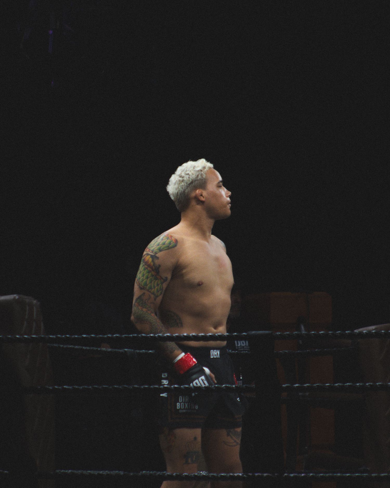 A tattooed boxer with bleached hair stands in the corner of a wrestling ring.