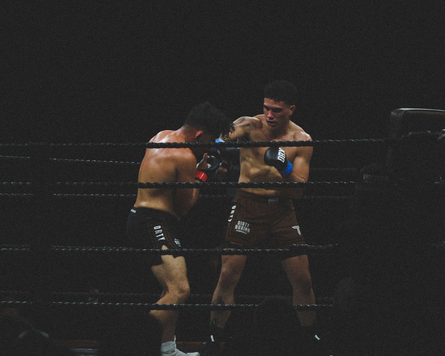Boxers square off in a darkened ring during an intense match.