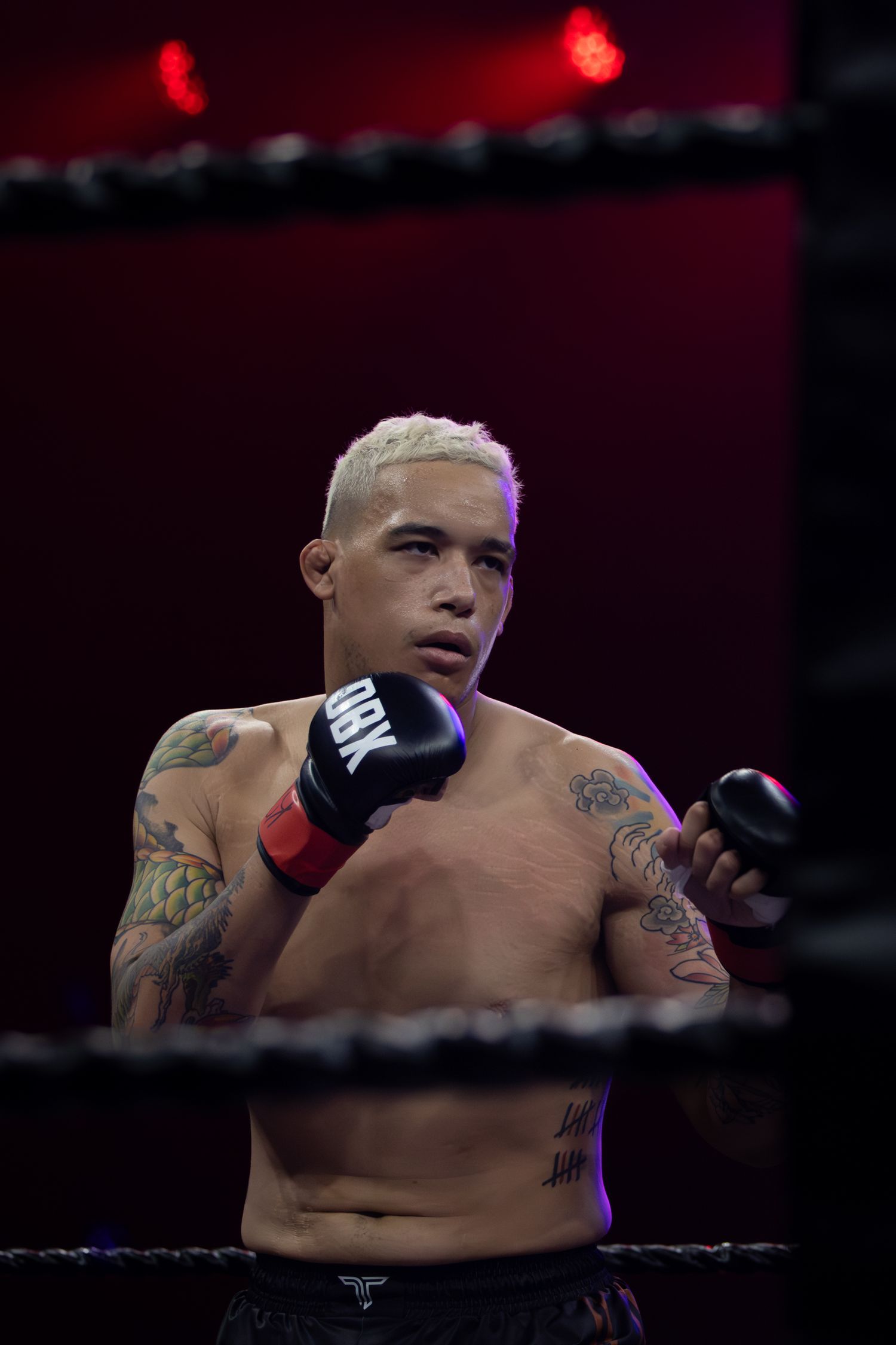 Tattooed fighter in UFC gloves stands in boxing ring under red lighting.
Bryan battle
