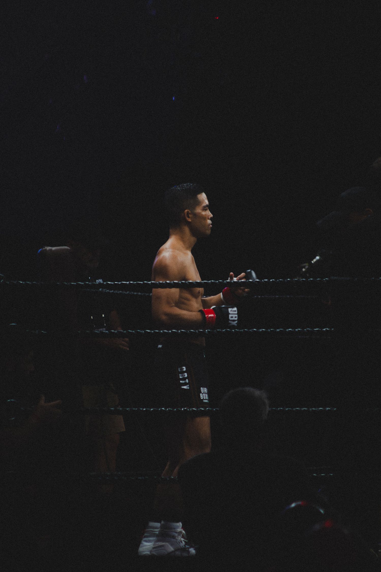 Professional wrestler stands in a darkly lit boxing ring with ropes visible in the background.