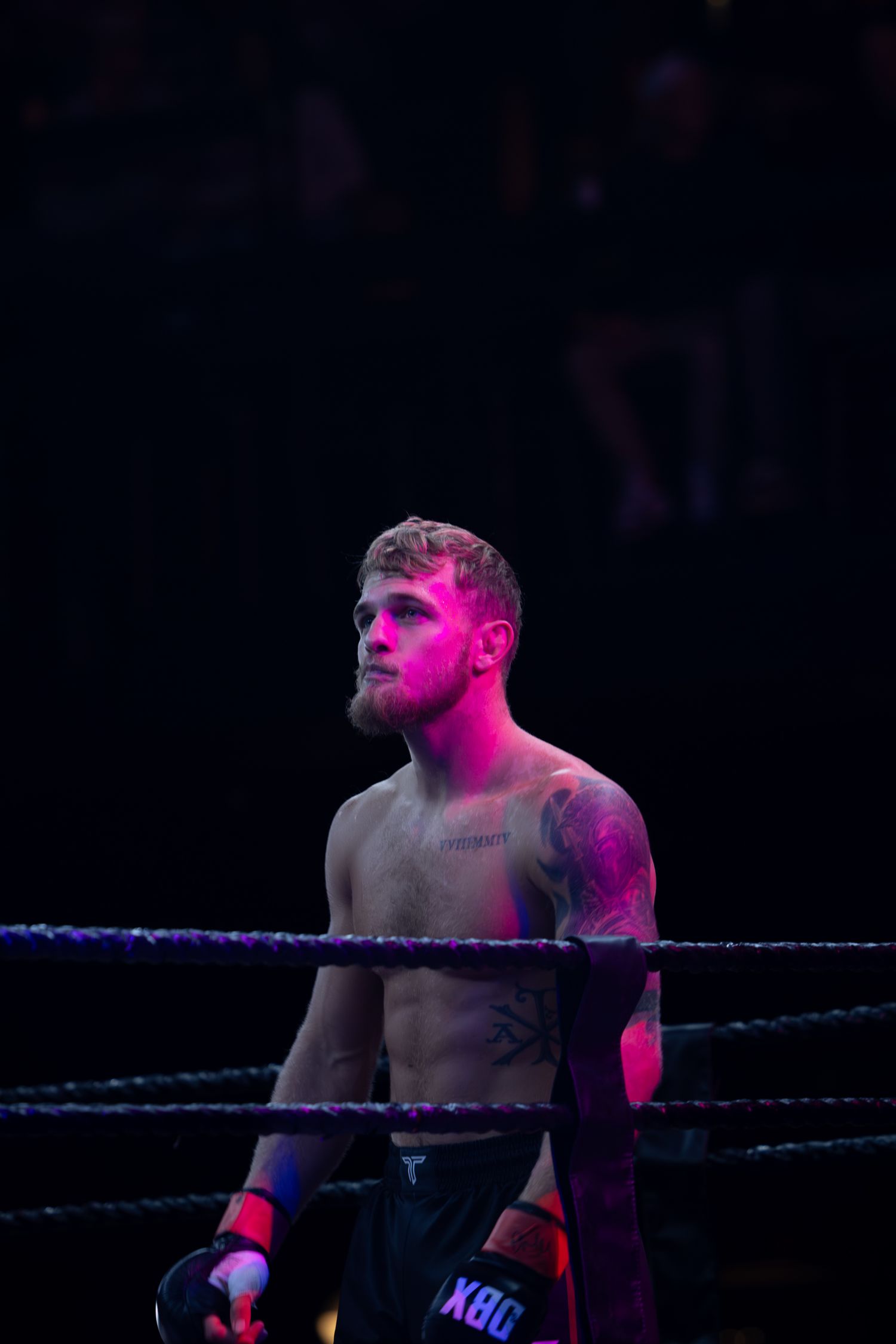 Performer illuminated by purple stage lights stands near wrestling ring ropes.