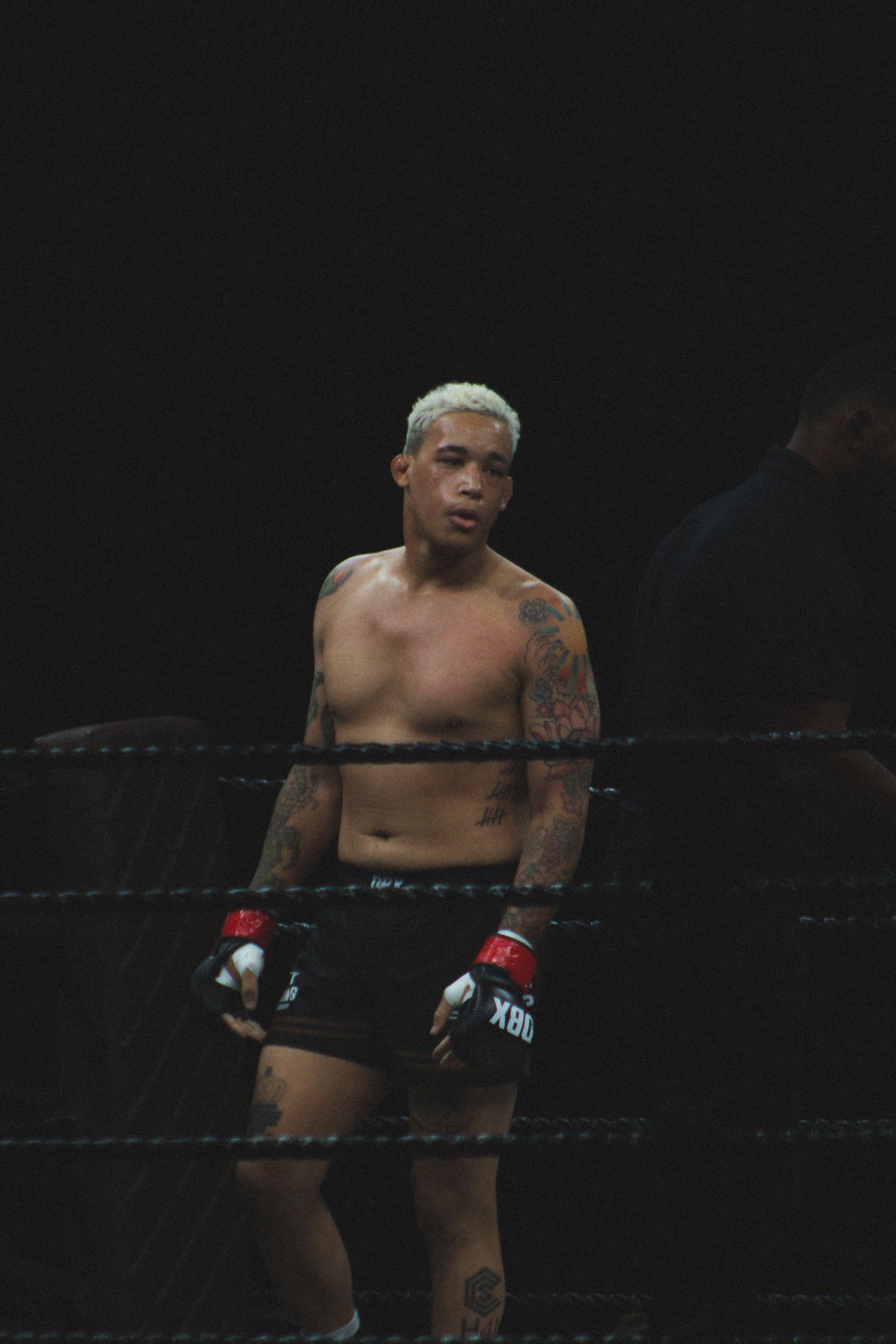 A muscular boxer with tattoos and red gloves stands ready in the ring.