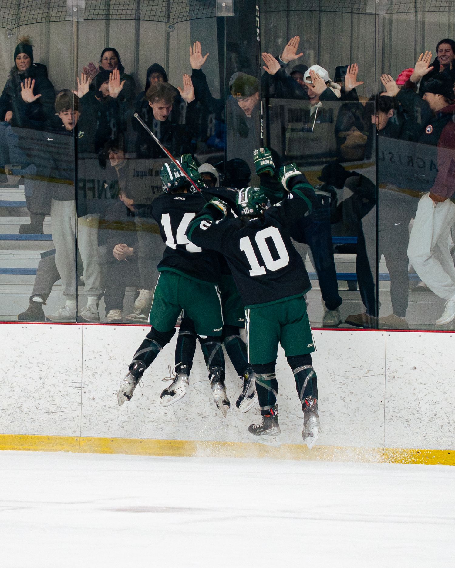 Hockey players in green jerseys celebrate along the boards during a game while spectators watch from behind the glass.