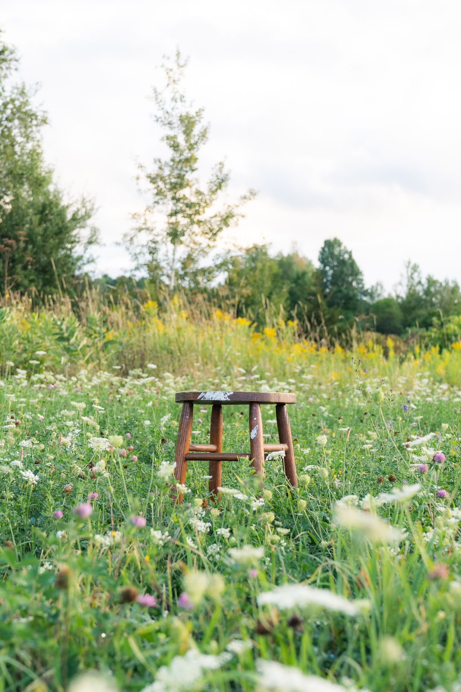 Wooden stool stands alone in a vibrant summer meadow filled with colorful wildflowers and tall grass.
