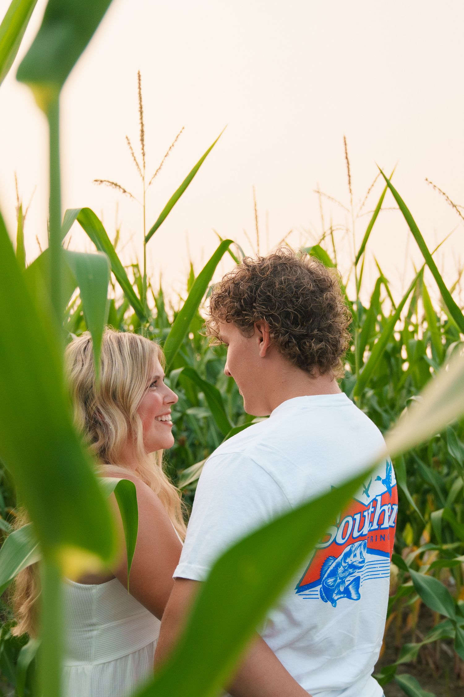 Candid moments between a couple walking through tall corn stalks.