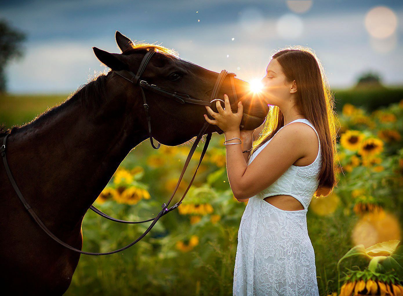 Senior portraits sunflower field with horse