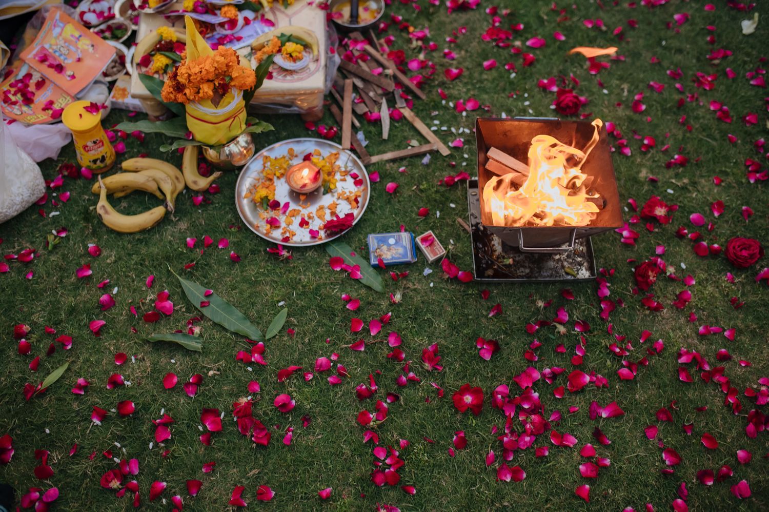 Storytelling wedding photograph capturing an intimate indo-norwegian fusion wedding ceremony at Forest Hill Chandigarh