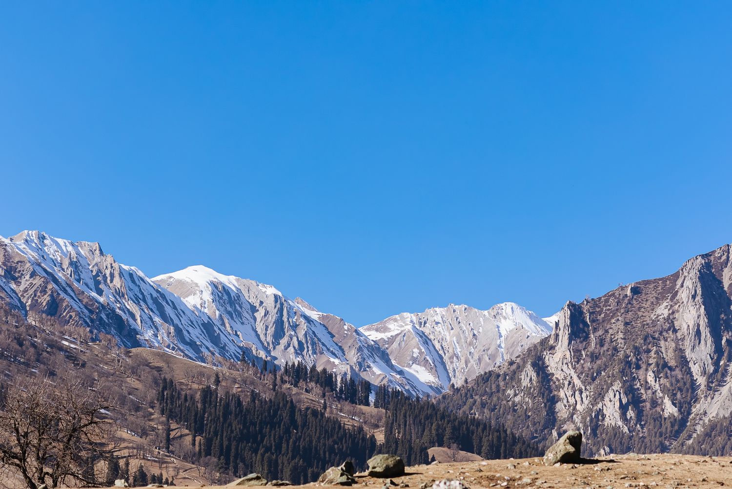 Luxury pre-wedding shoot in Gulmarg Valley with breathtaking landscapes