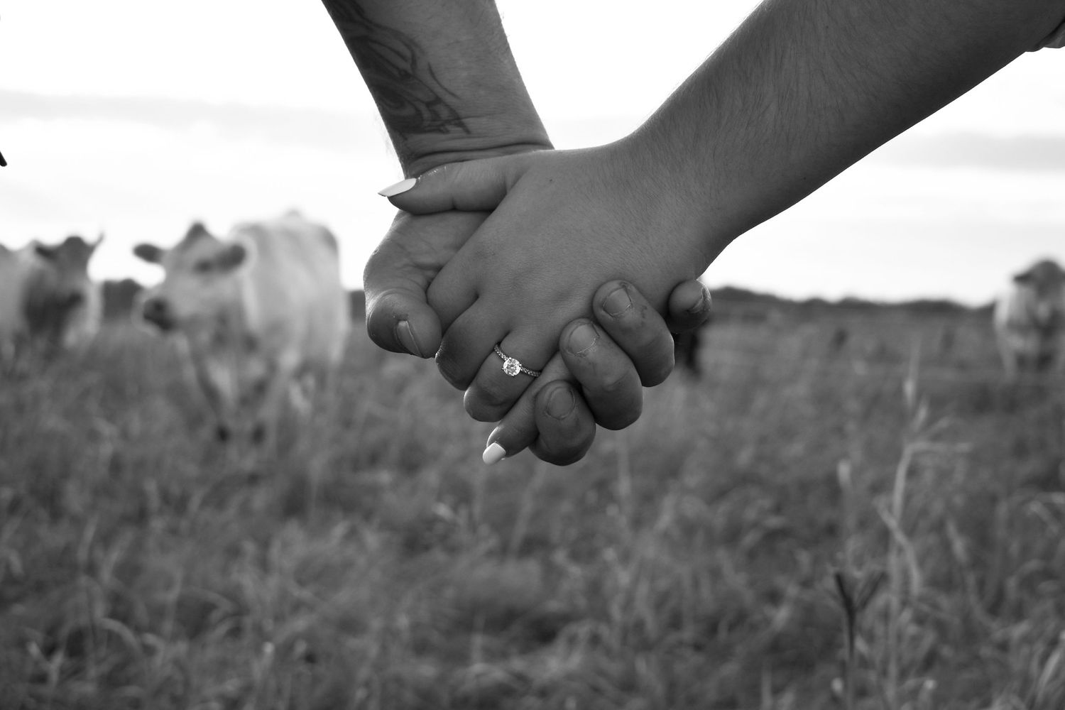 engagement session holding hands