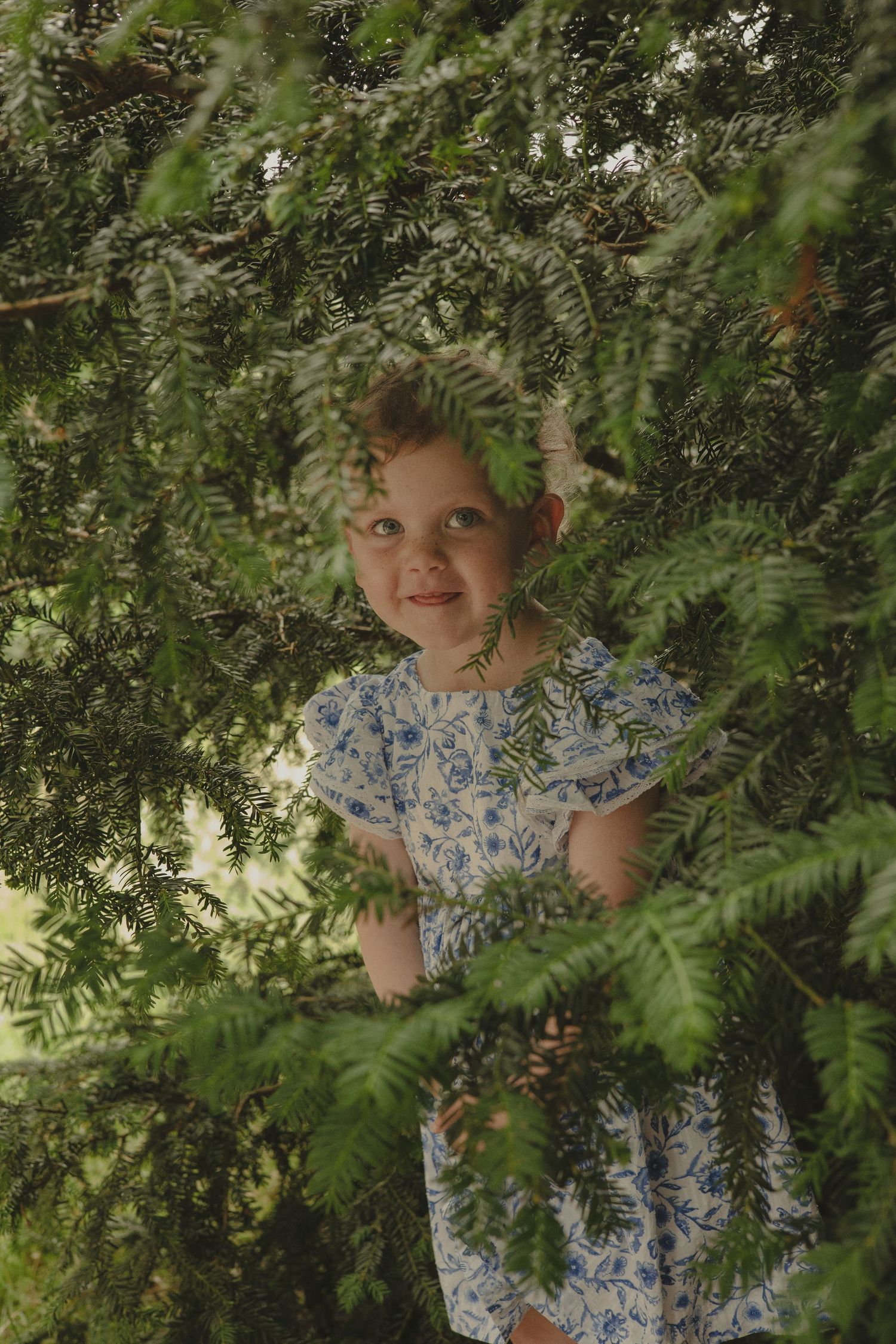 Family photoshoot at Attingham in Shrewsbury.