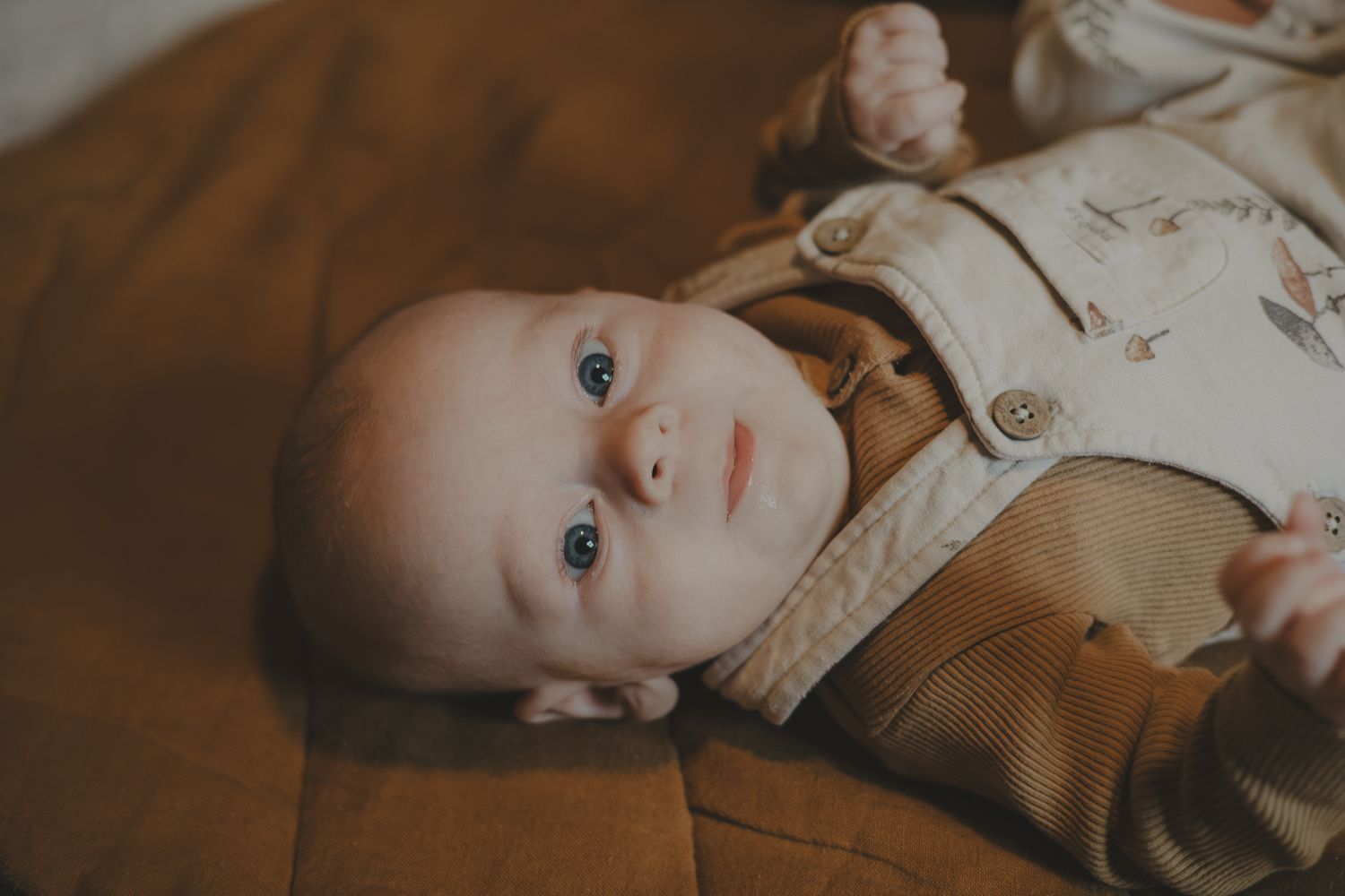 Family Christmas photoshoot in Telford