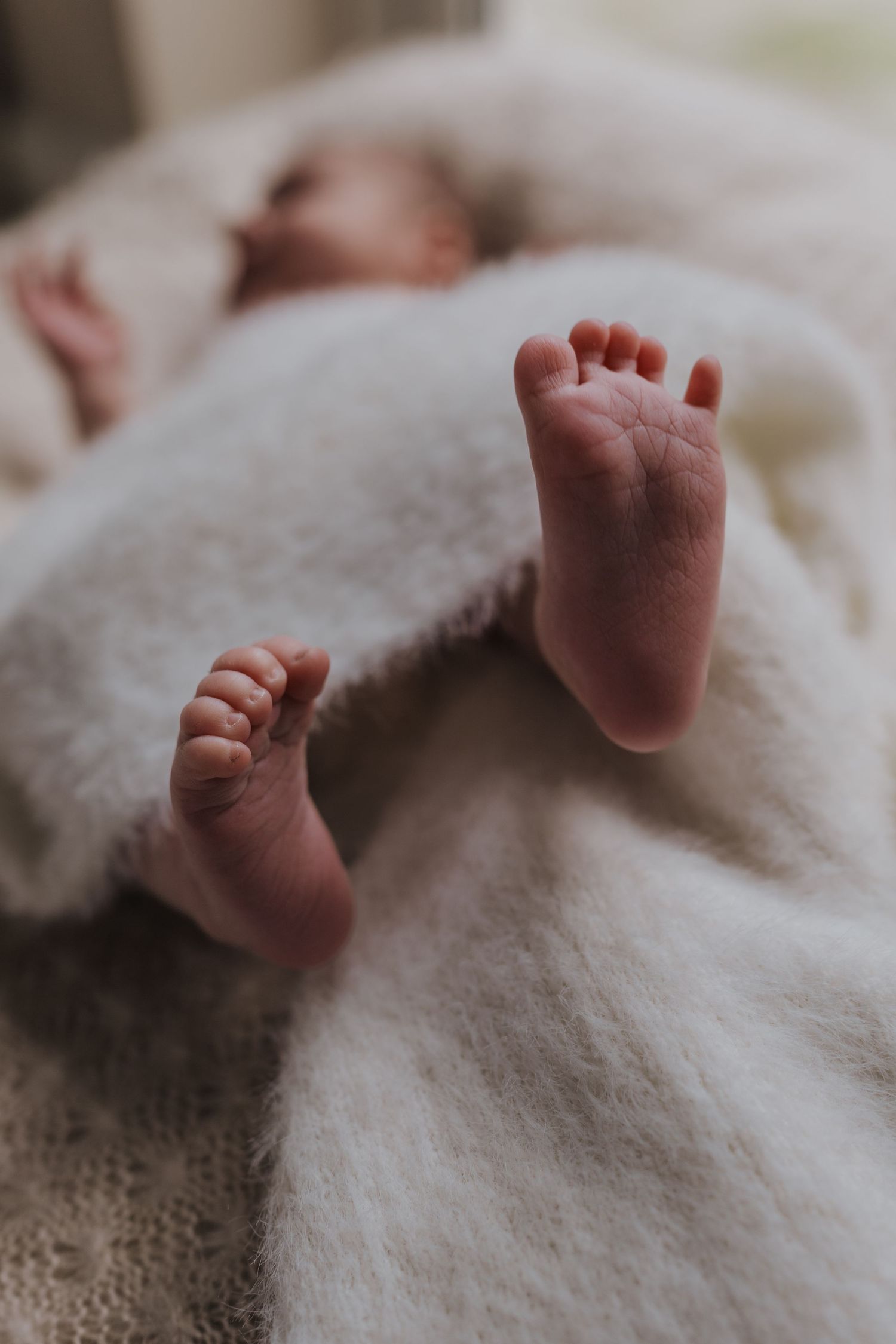 Newborn family photoshoot in Shrewsbury.