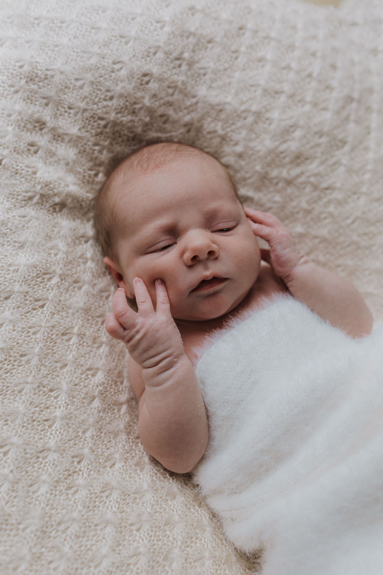 Newborn family photoshoot in Shrewsbury.