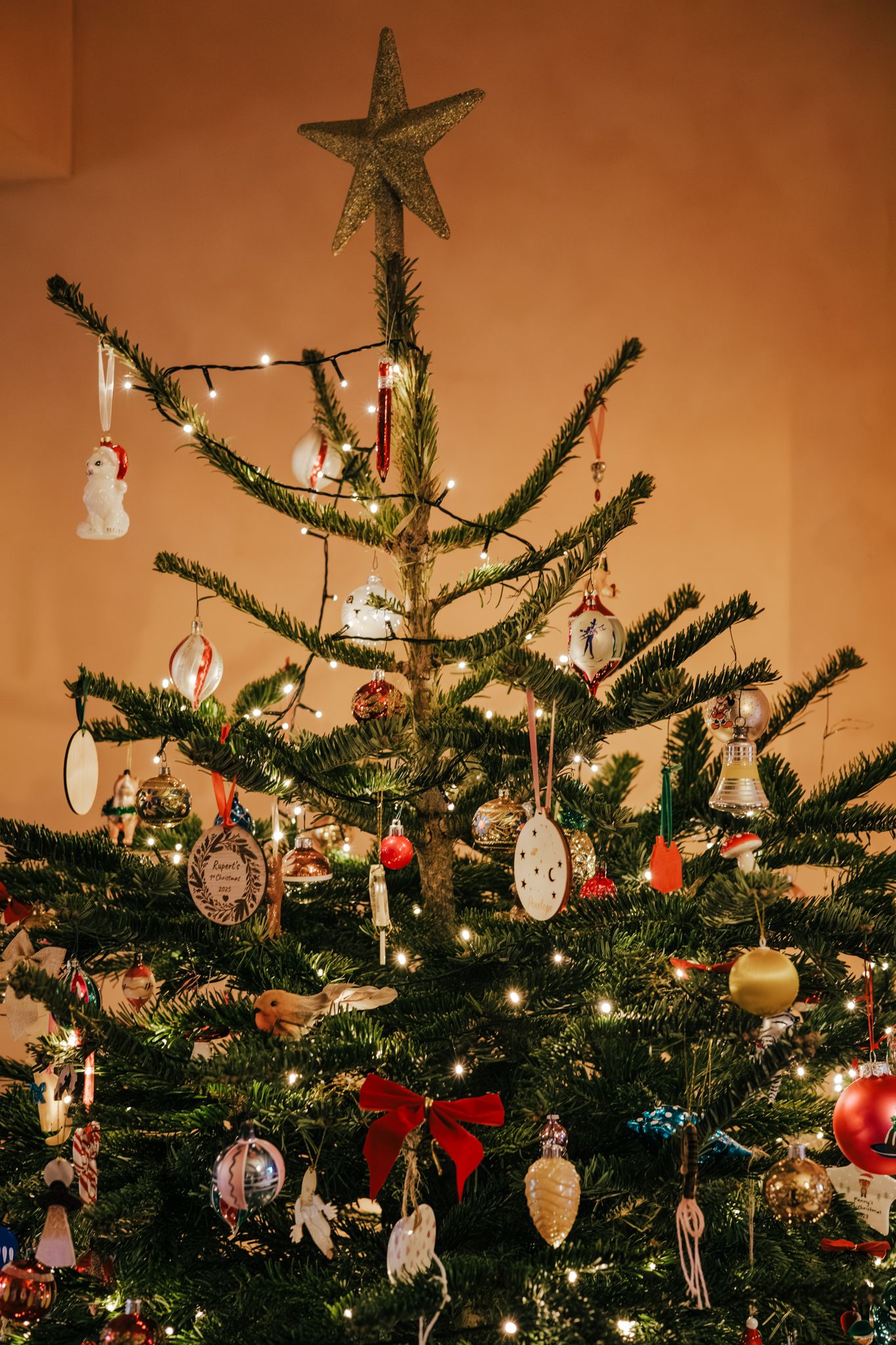 Family Christmas photoshoot in Telford