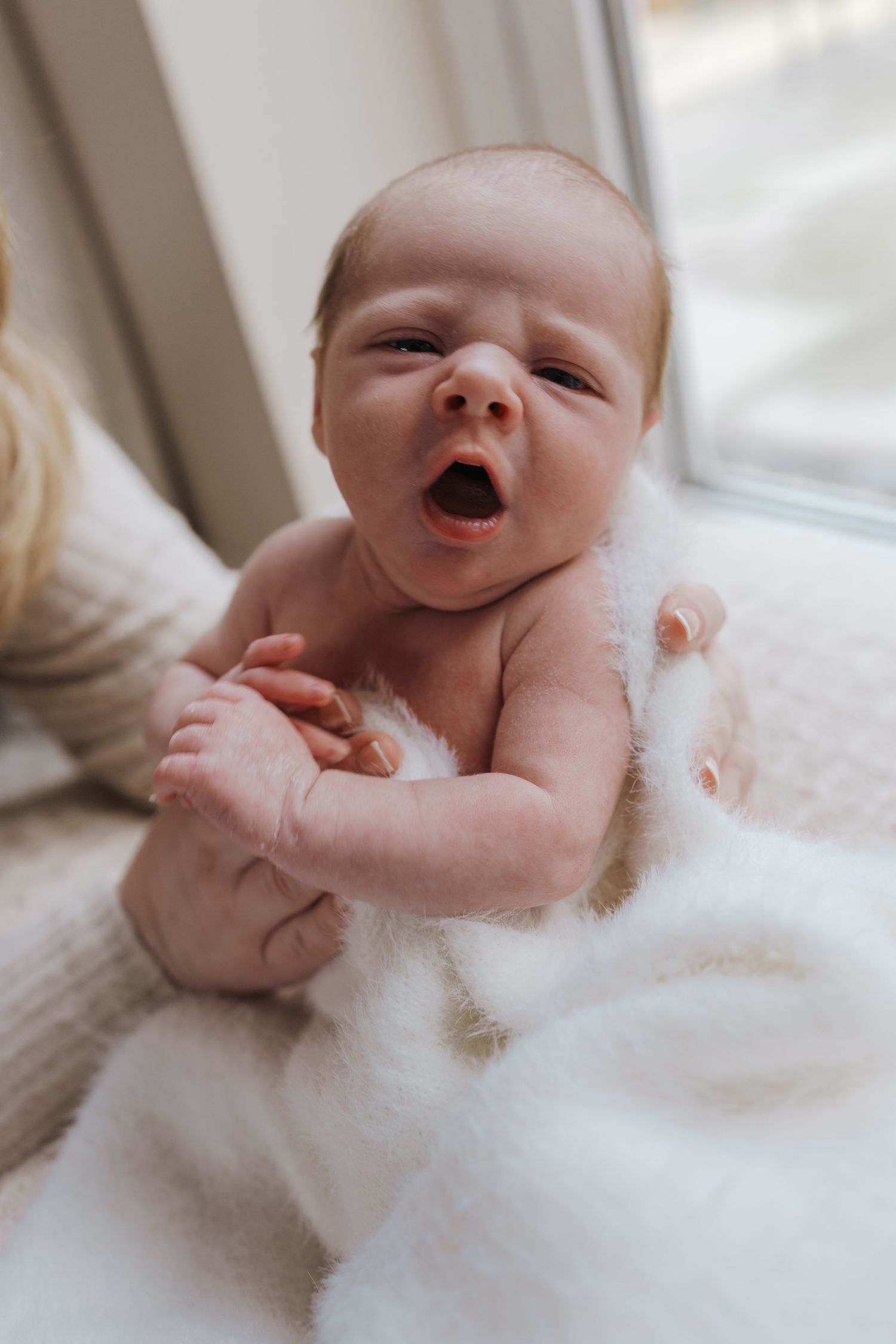 Newborn photo shoot in Shrewsbury, Shropshire