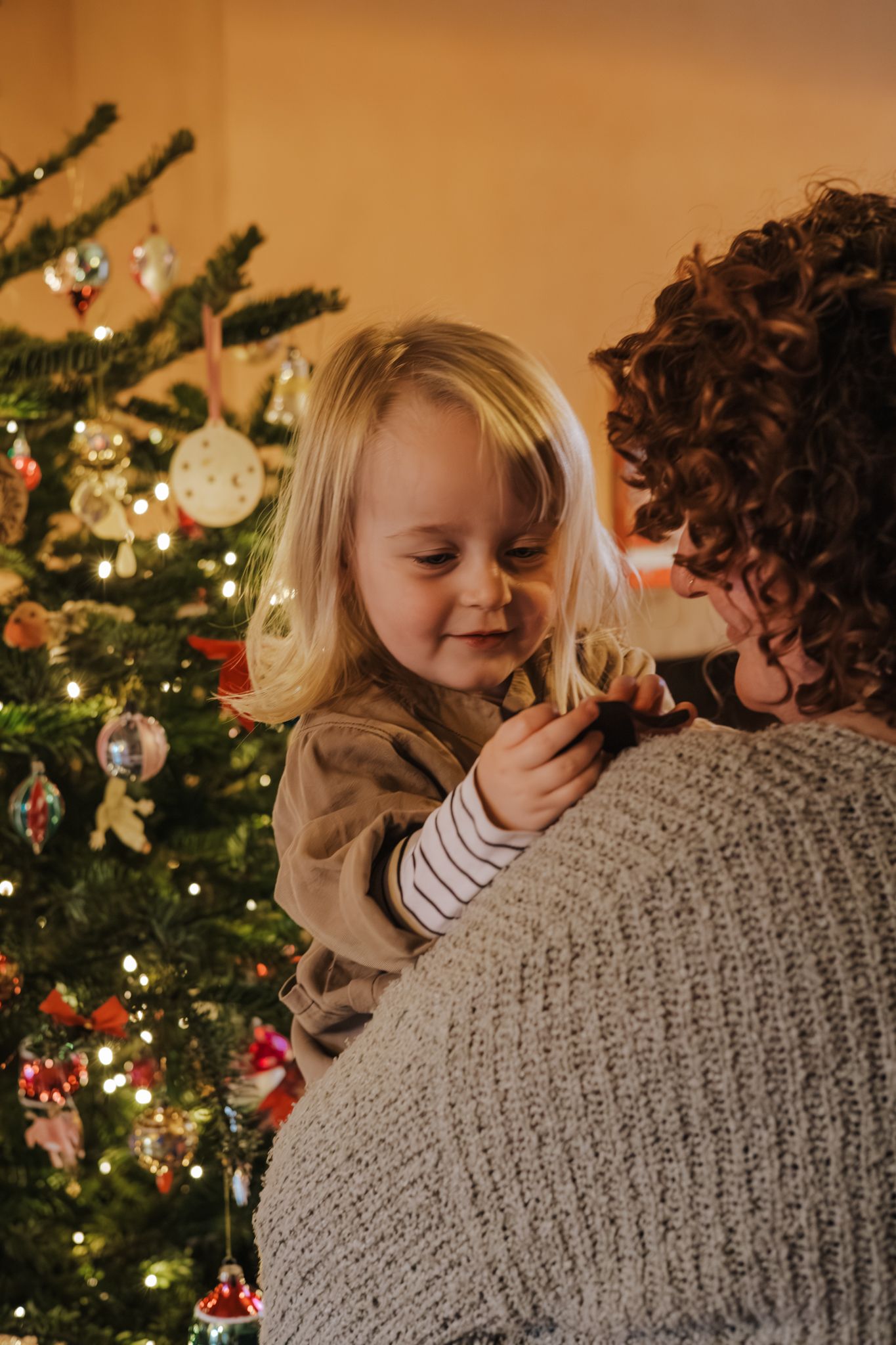 Family Christmas photoshoot in Telford