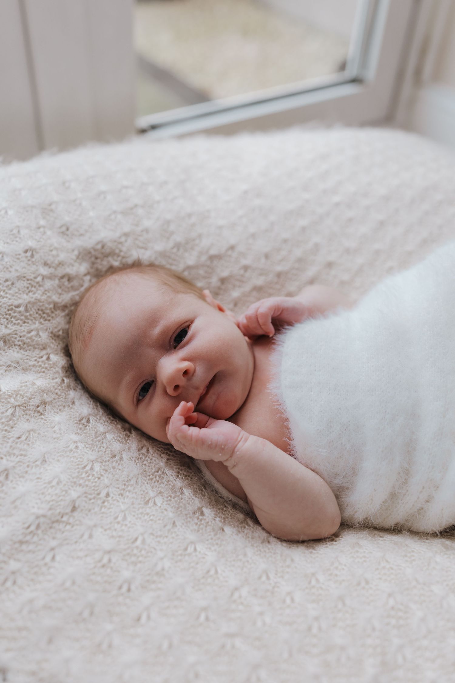 Newborn family photoshoot in Shrewsbury.