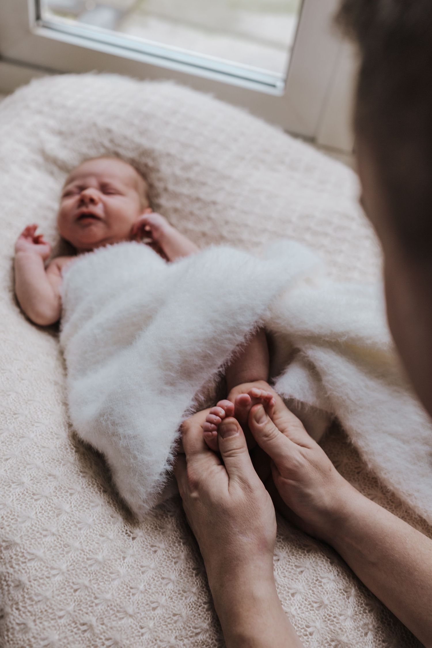 Newborn family photoshoot in Shrewsbury.