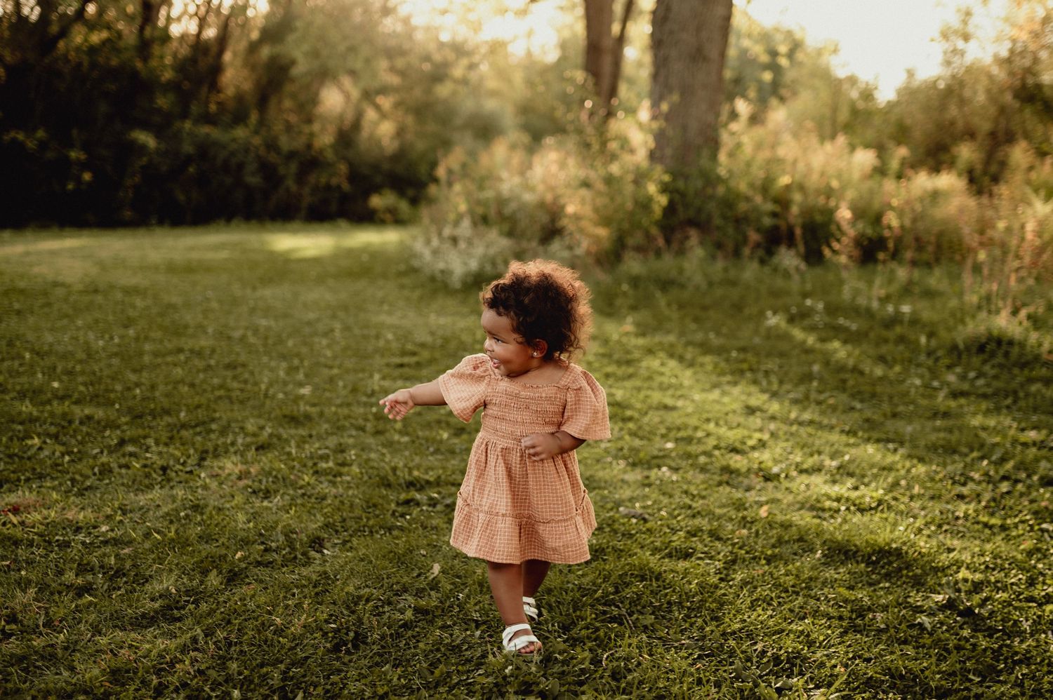 Grassy outdoor setting with sunlight filtering through trees at golden hour.