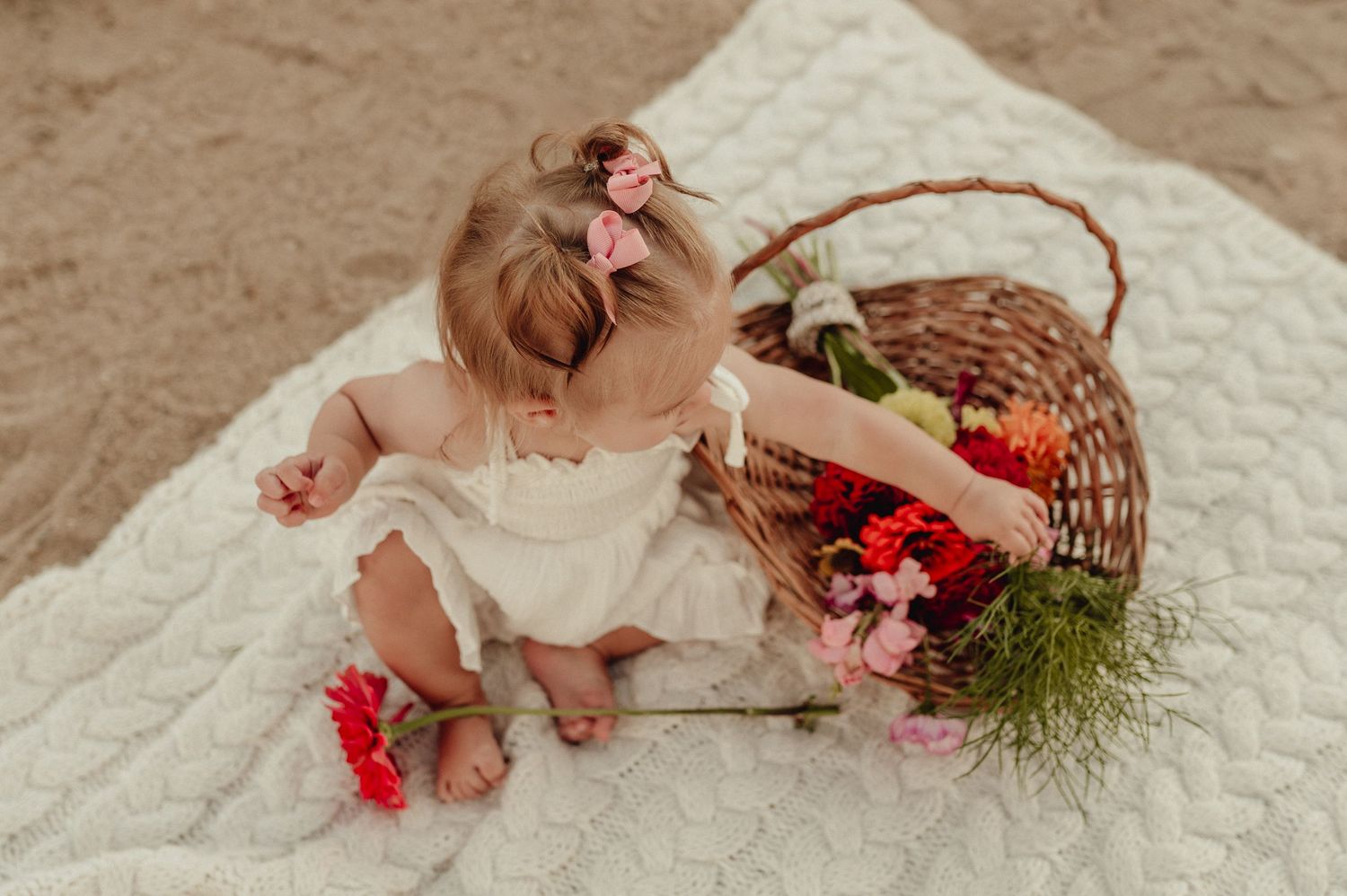 A baby in white dress crawls on a white quilt reaching for scattered red carnation flowers and a woven basket.