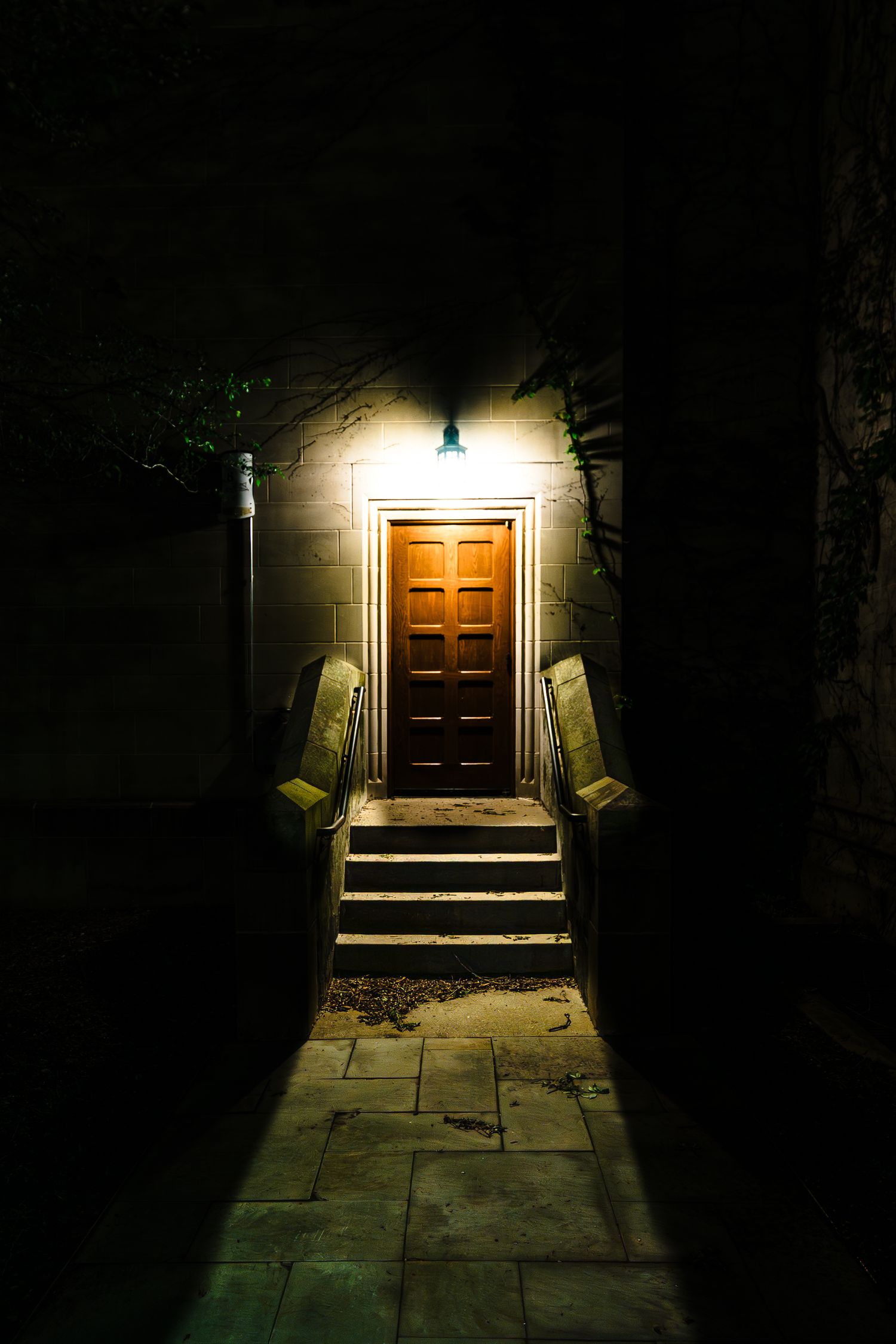 A wooden door illuminated by a single light at night with stone steps leading up to the entrance.