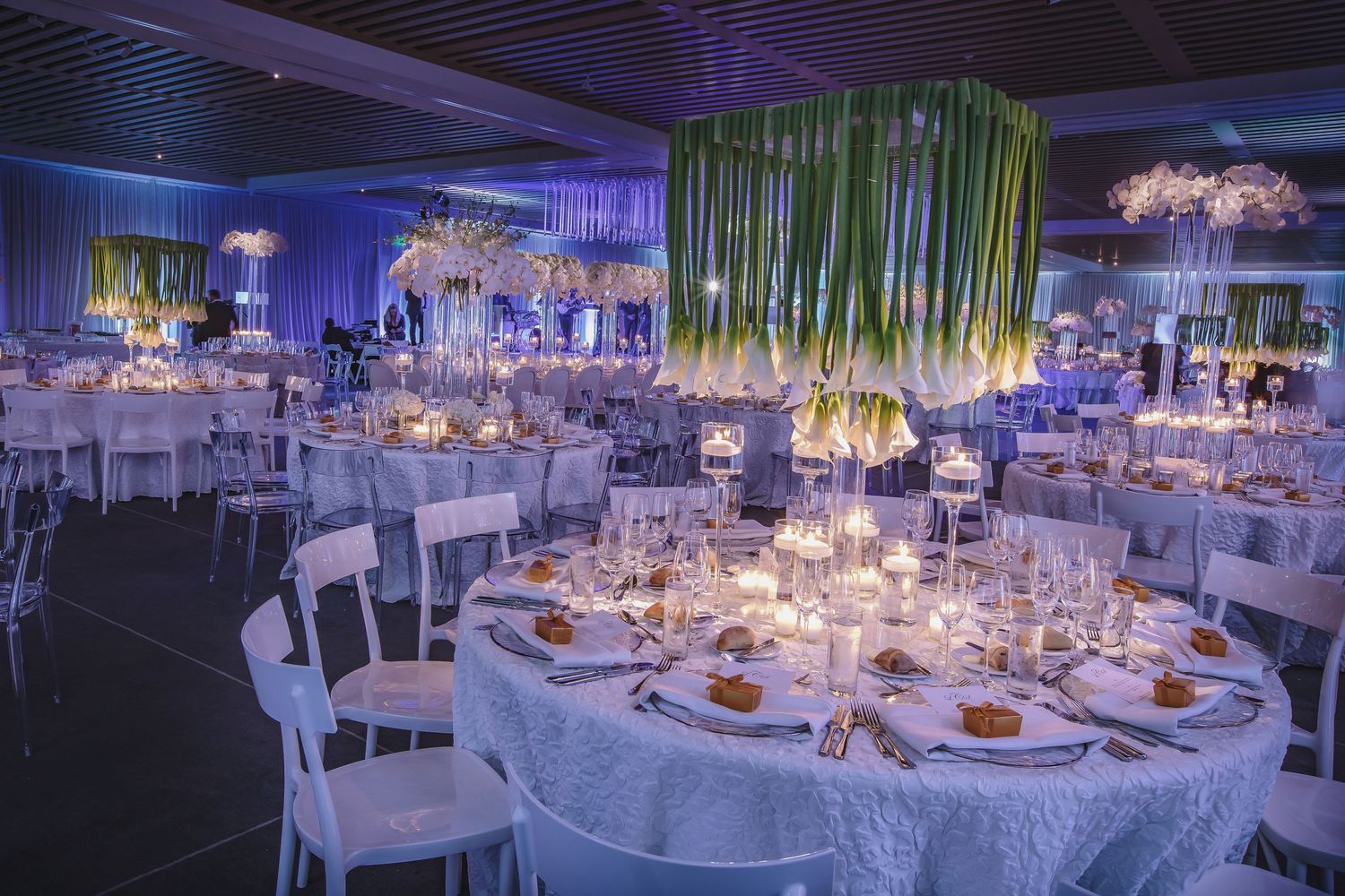 Elegant wedding reception venue with blue lighting, tall bamboo centerpieces, and white round tables set for fine dining.