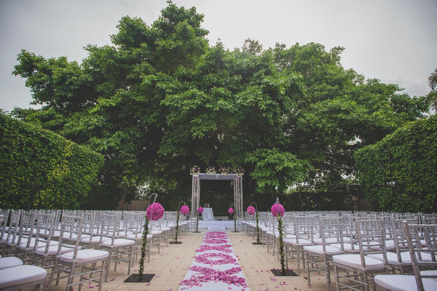 Outdoor wedding ceremony setup with white chairs and pink petaled aisle.